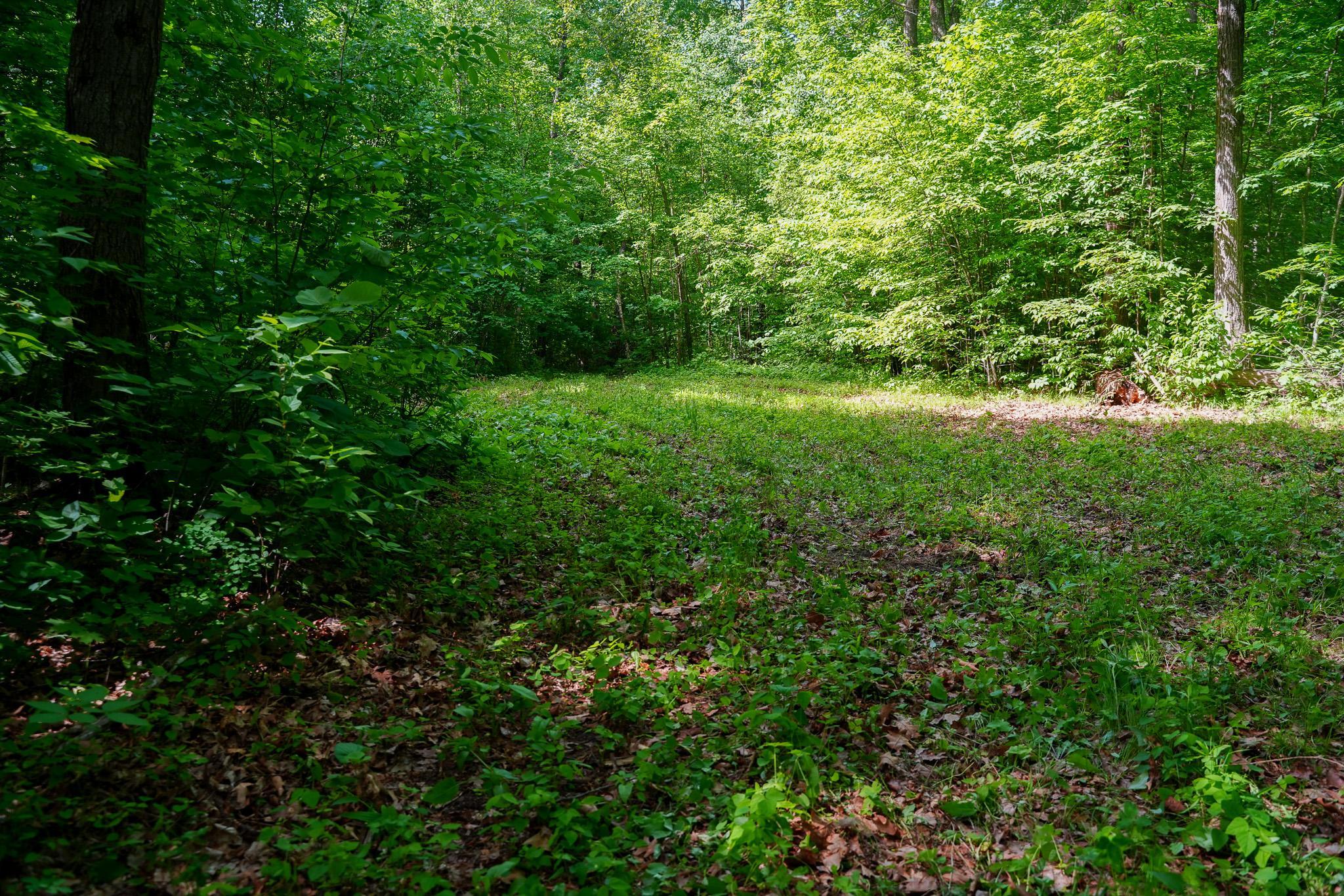 land for sale at TBD County Highway 47 in Osage, MN (photo 32 of 58)