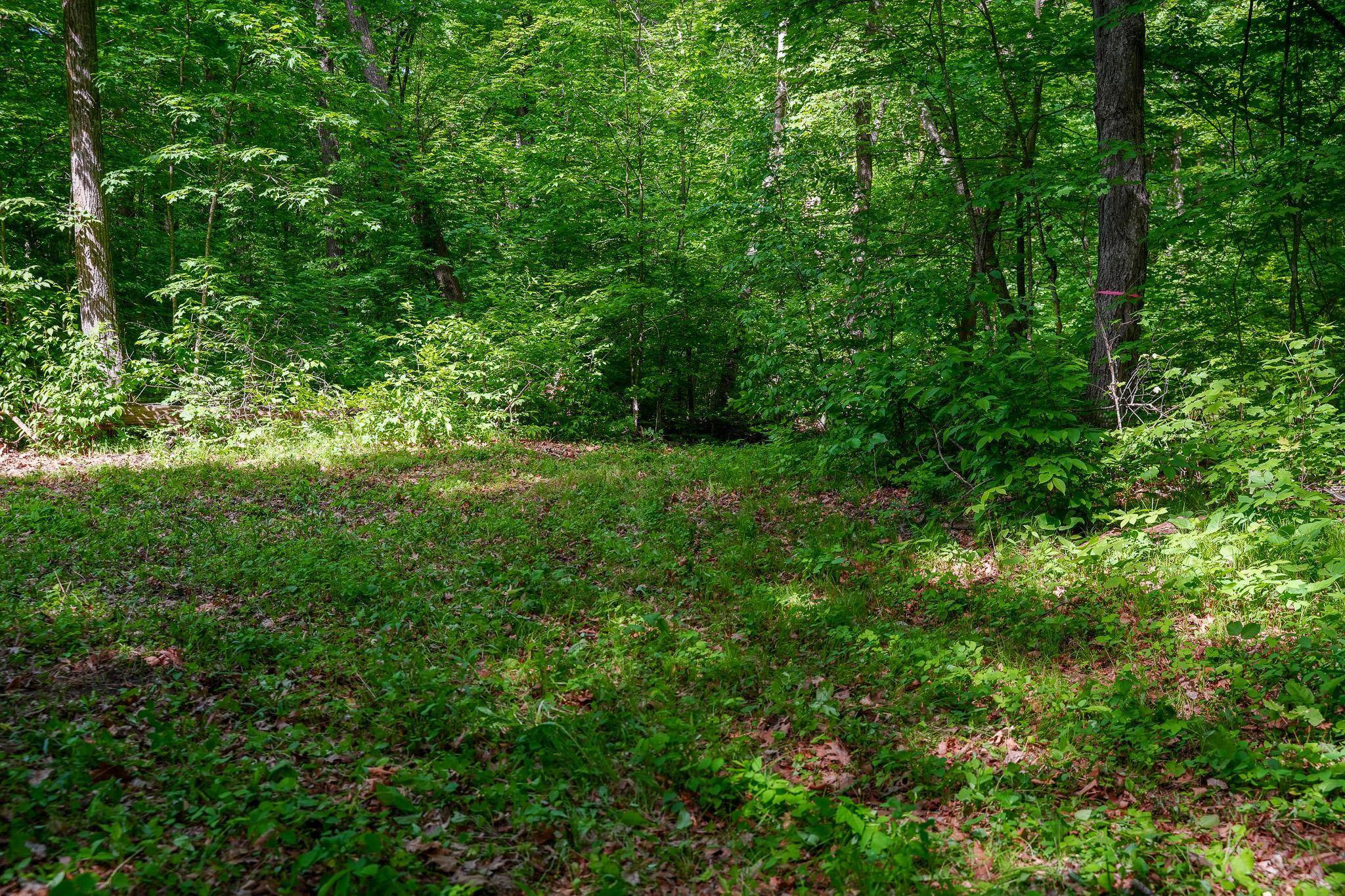 land for sale at TBD County Highway 47 in Osage, MN (photo 33 of 58)