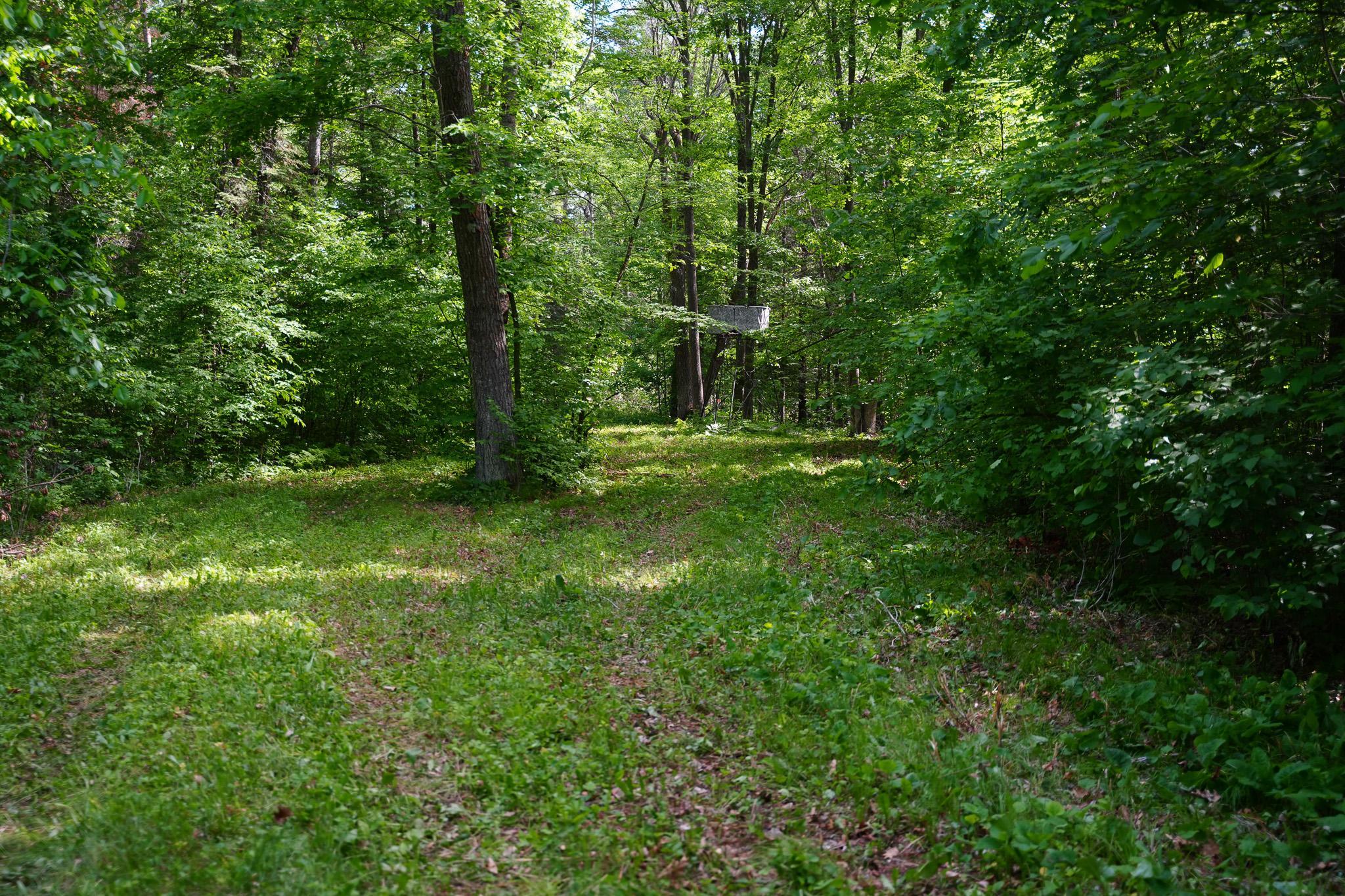 land for sale at TBD County Highway 47 in Osage, MN (photo 36 of 58)
