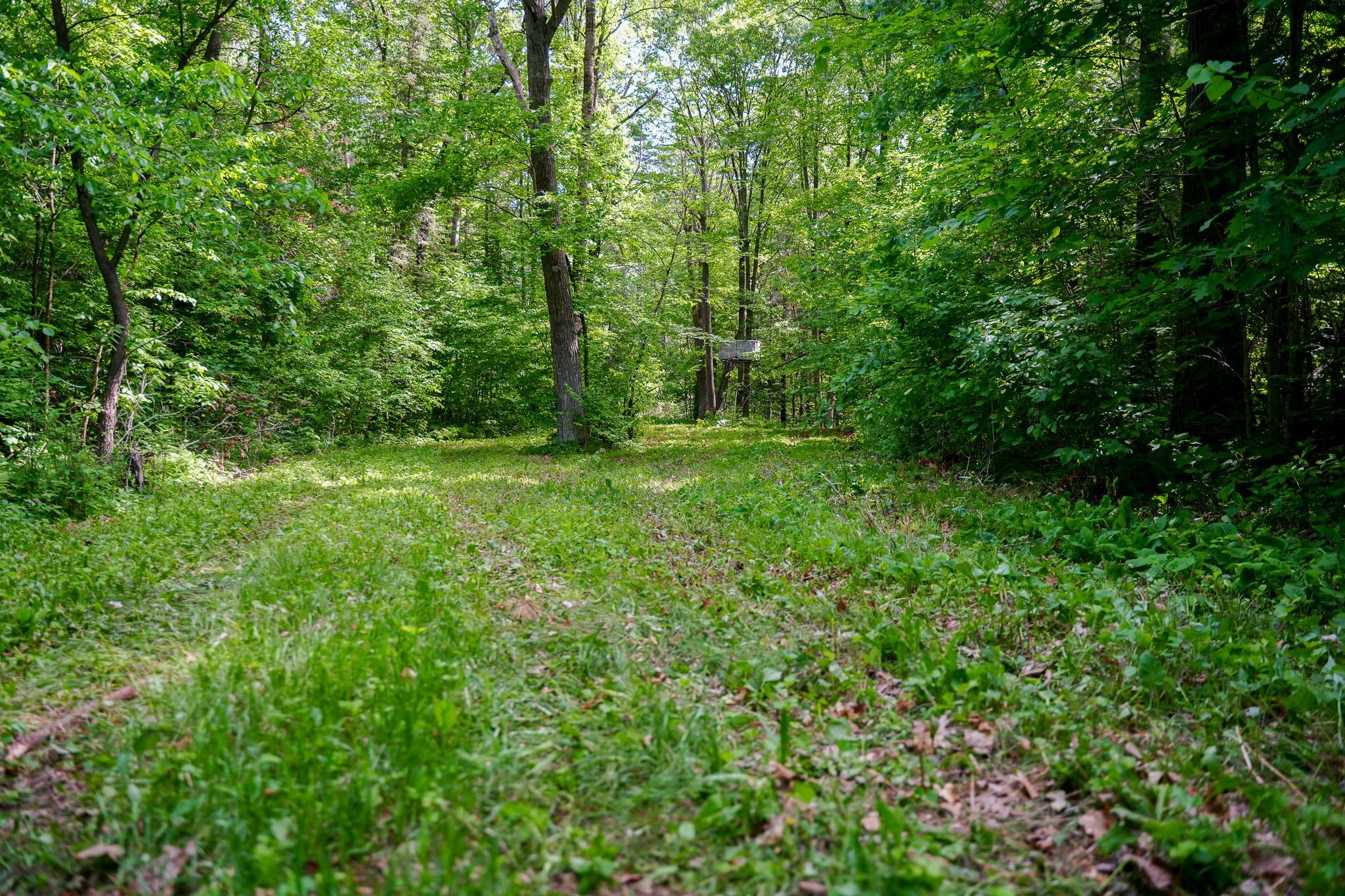 land for sale at TBD County Highway 47 in Osage, MN (photo 37 of 58)