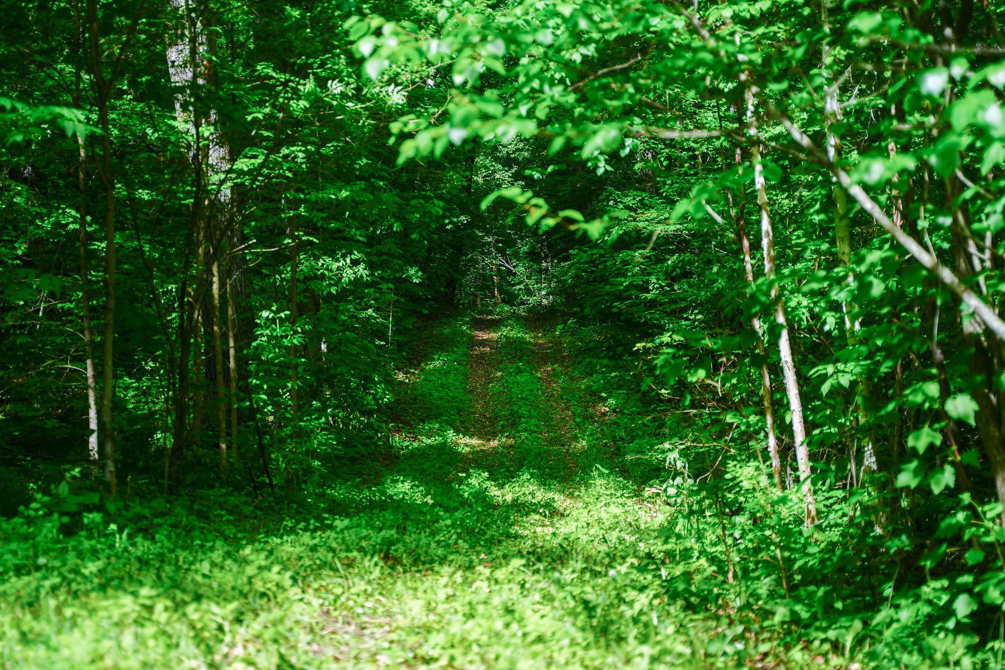 land for sale at TBD County Highway 47 in Osage, MN (photo 38 of 58)