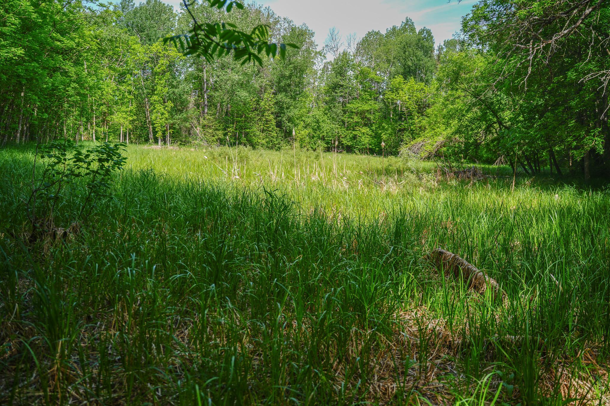 land for sale at TBD County Highway 47 in Osage, MN (photo 39 of 58)