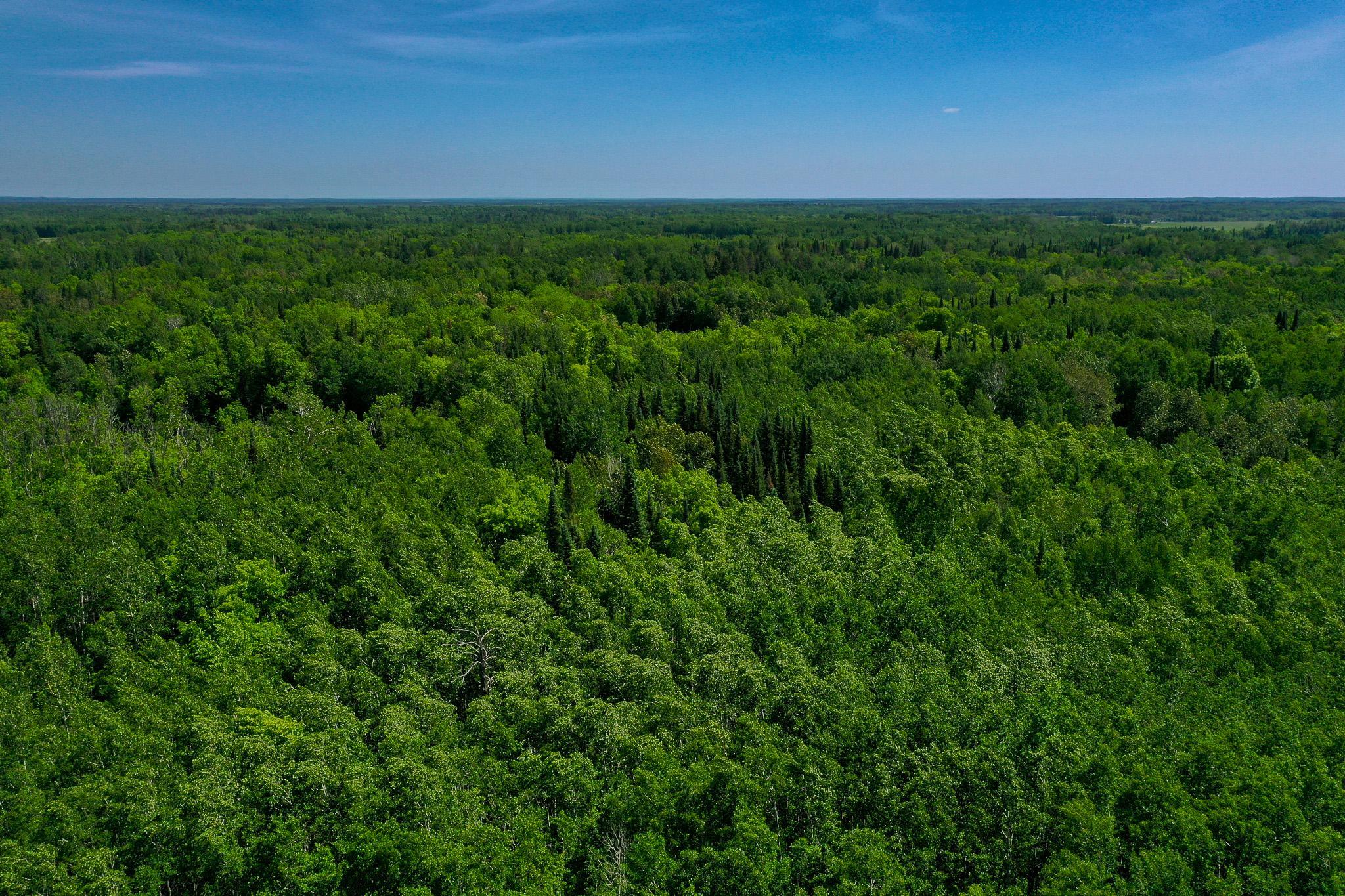land for sale at TBD County Highway 47 in Osage, MN (photo 5 of 58)