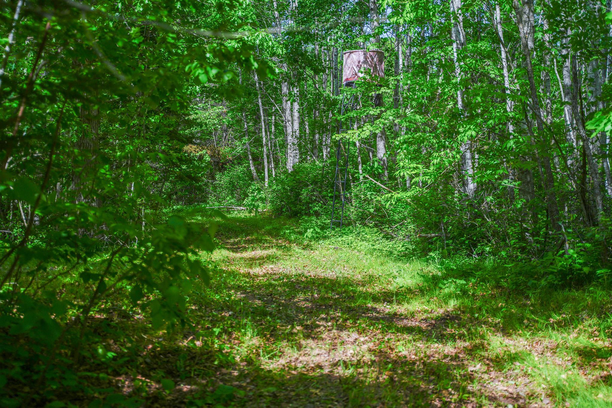 land for sale at TBD County Highway 47 in Osage, MN (photo 40 of 58)