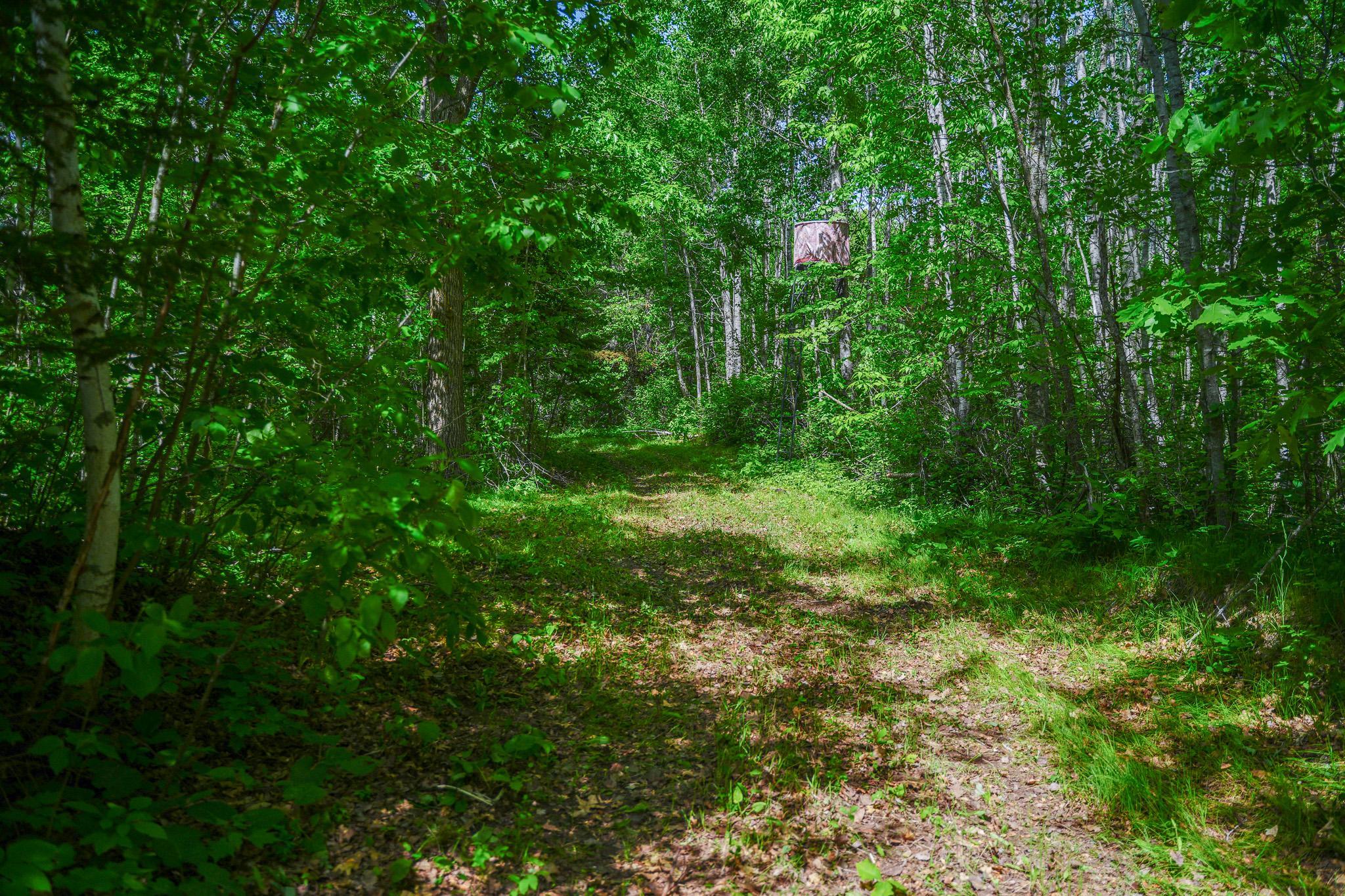 land for sale at TBD County Highway 47 in Osage, MN (photo 41 of 58)