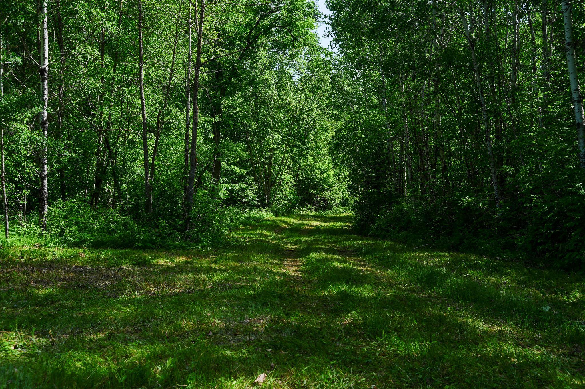 land for sale at TBD County Highway 47 in Osage, MN (photo 43 of 58)