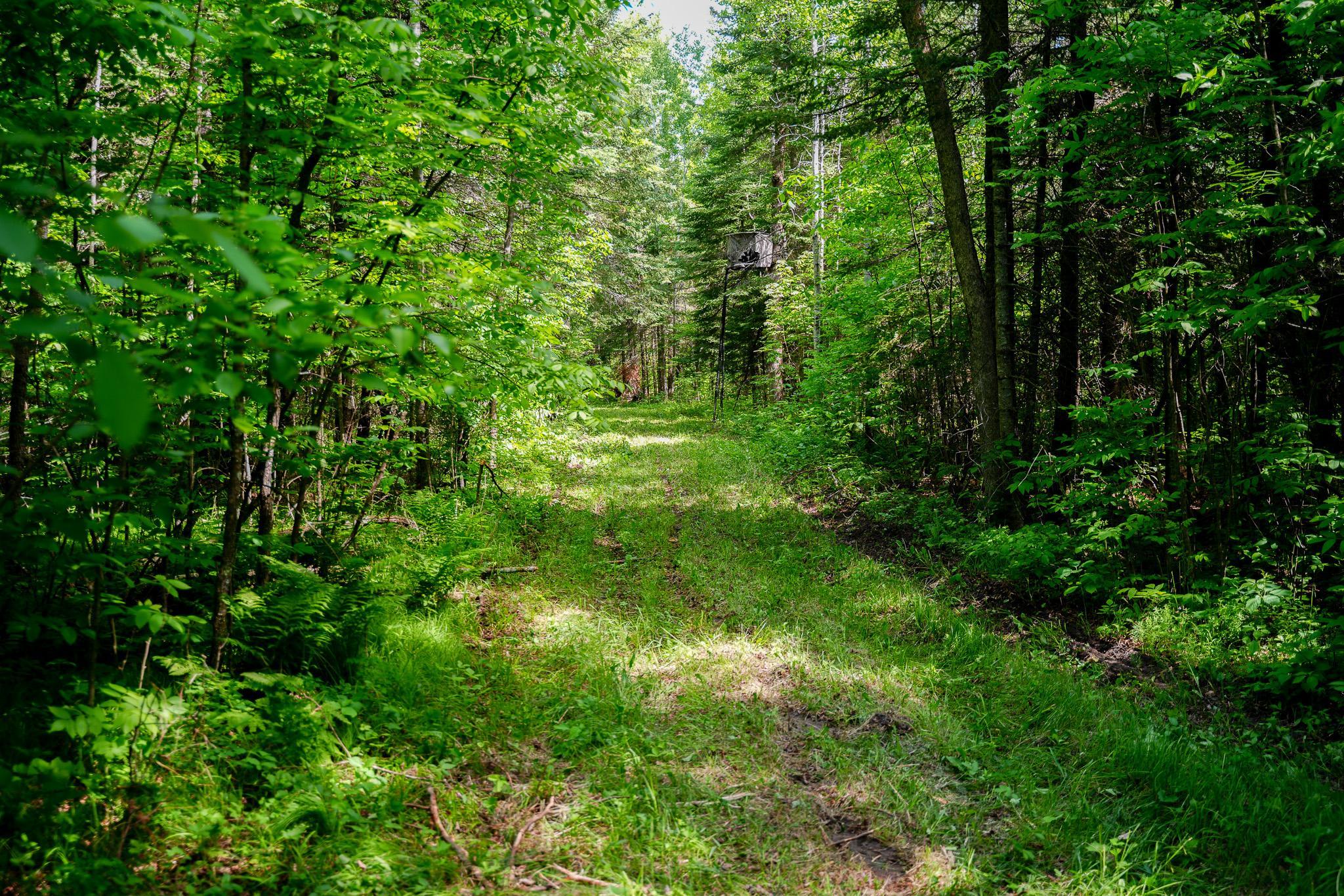 land for sale at TBD County Highway 47 in Osage, MN (photo 45 of 58)