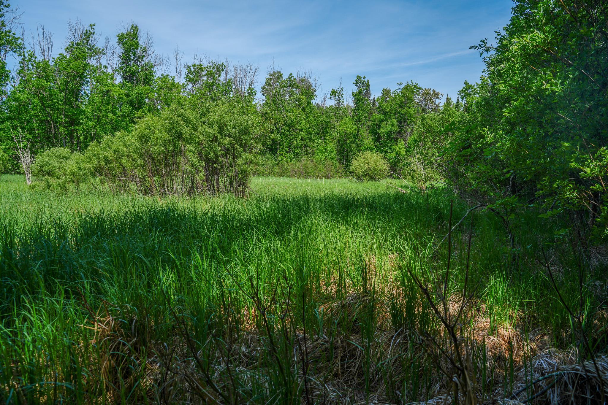 land for sale at TBD County Highway 47 in Osage, MN (photo 46 of 58)