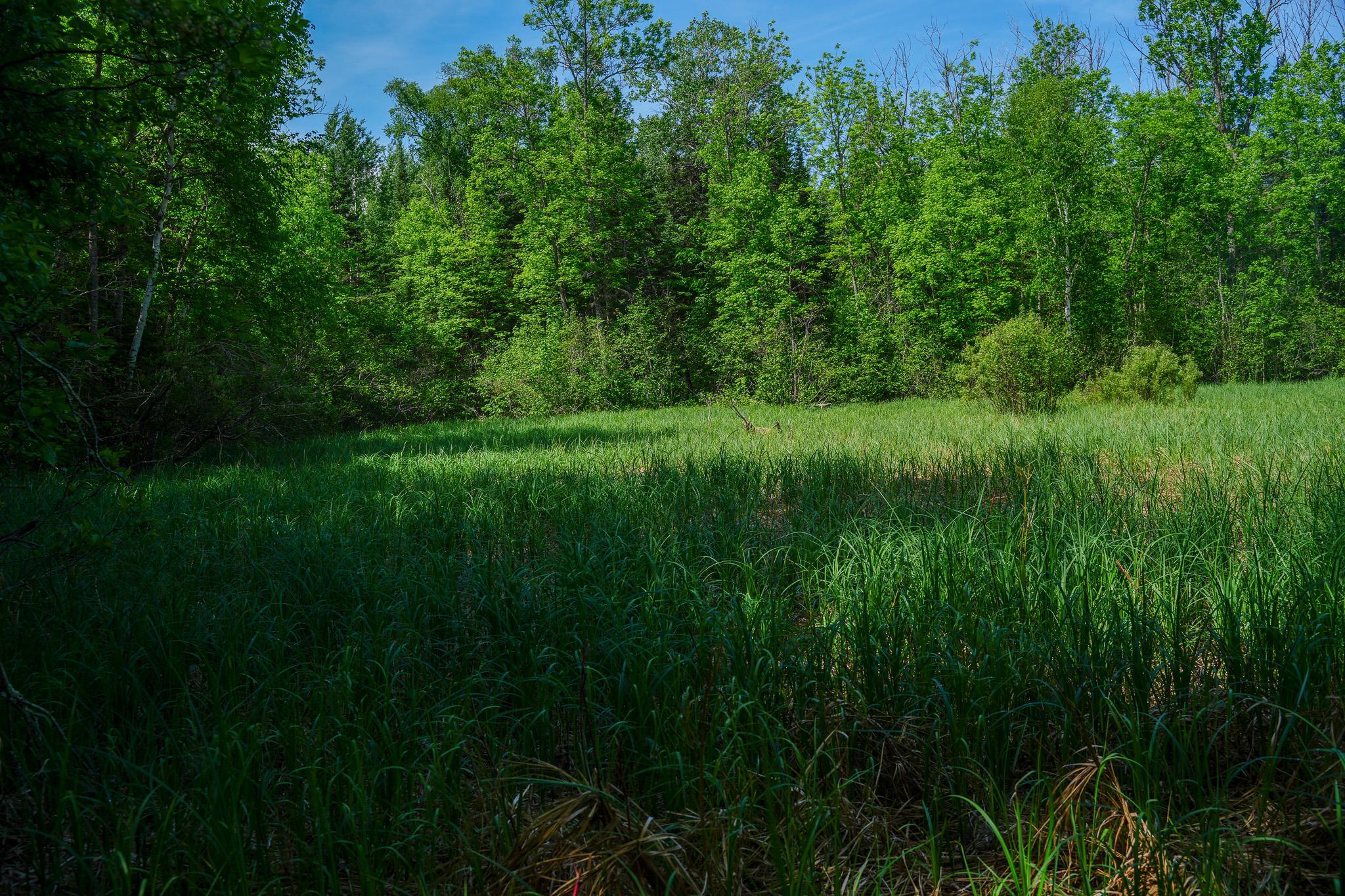 land for sale at TBD County Highway 47 in Osage, MN (photo 47 of 58)