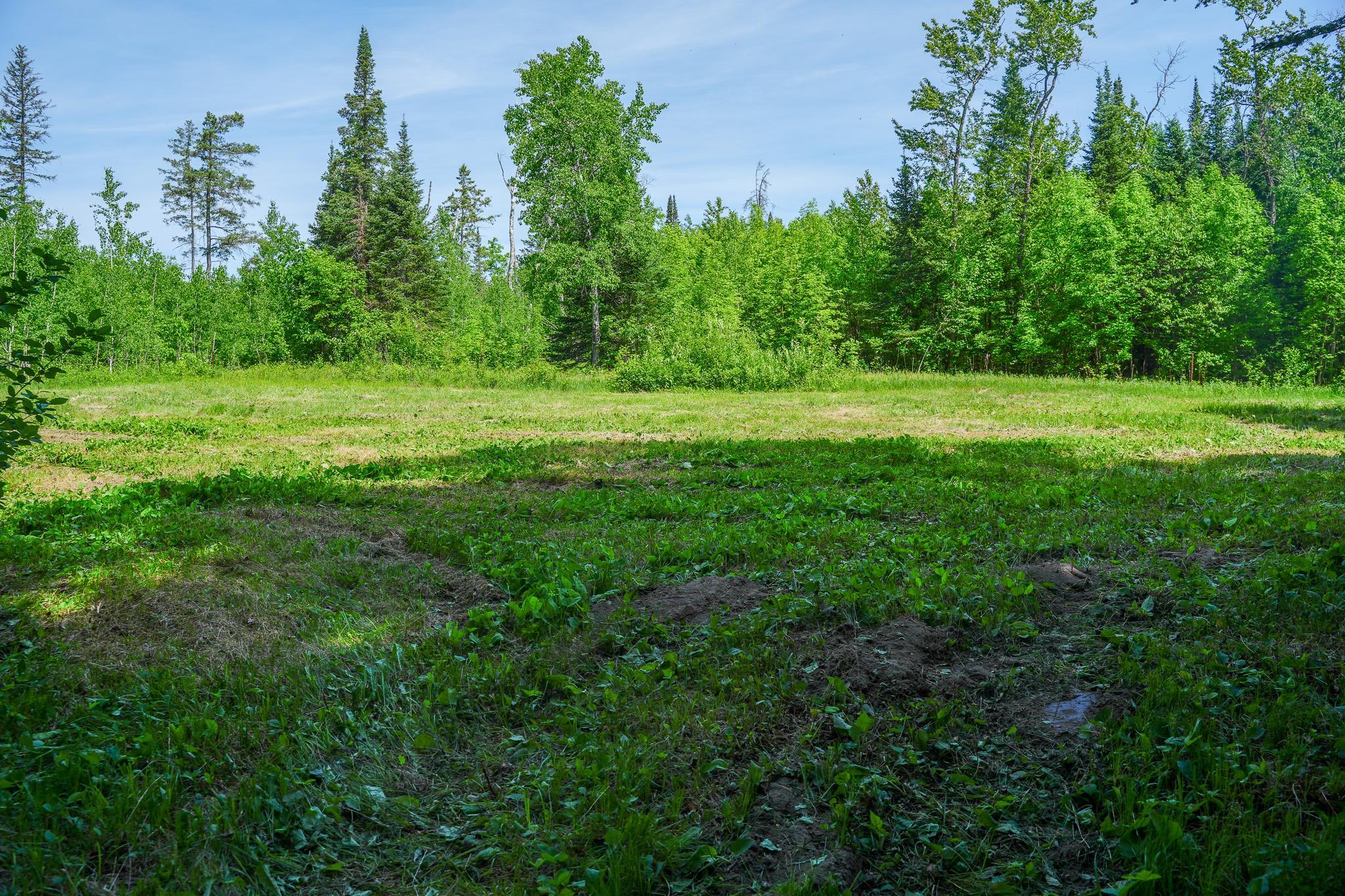 land for sale at TBD County Highway 47 in Osage, MN (photo 48 of 58)