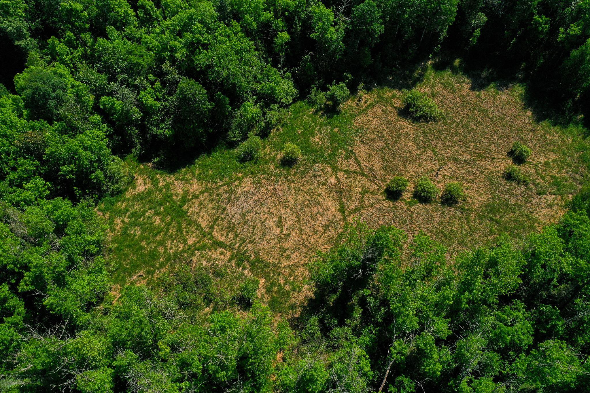 land for sale at TBD County Highway 47 in Osage, MN (photo 6 of 58)