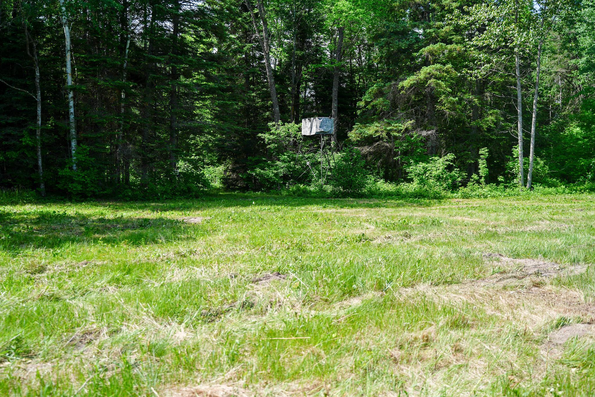 land for sale at TBD County Highway 47 in Osage, MN (photo 50 of 58)