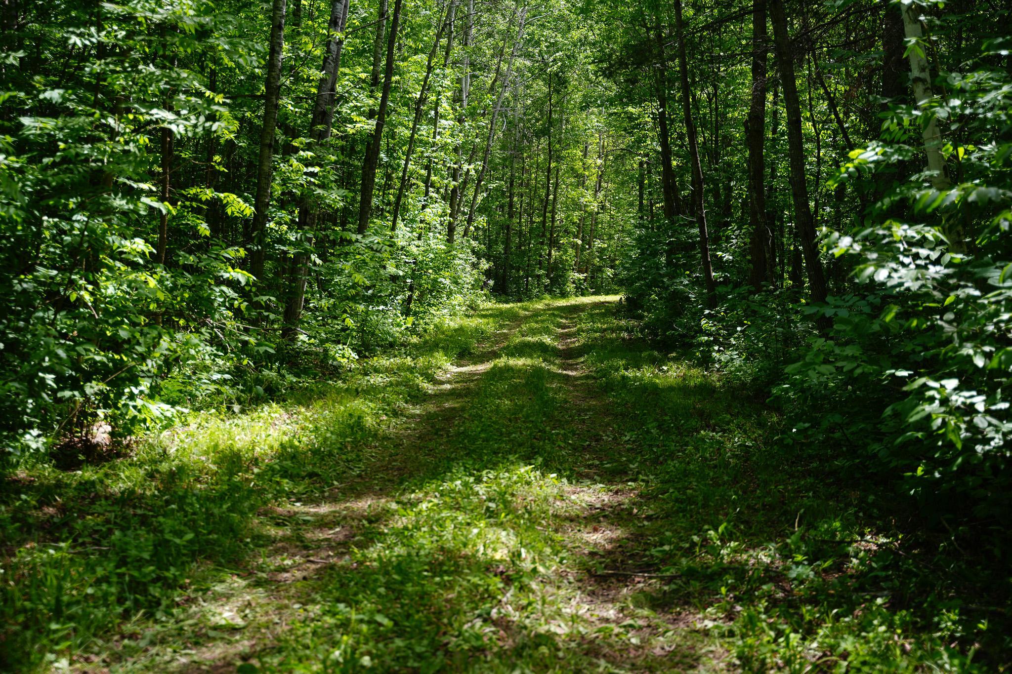 land for sale at TBD County Highway 47 in Osage, MN (photo 51 of 58)