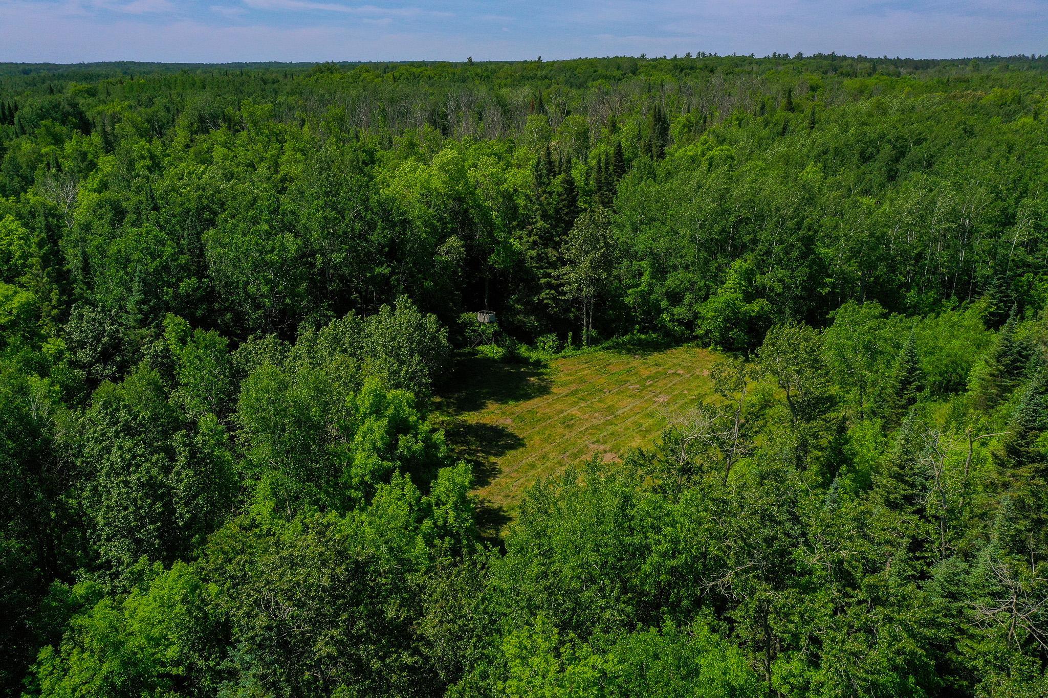 land for sale at TBD County Highway 47 in Osage, MN (photo 7 of 58)
