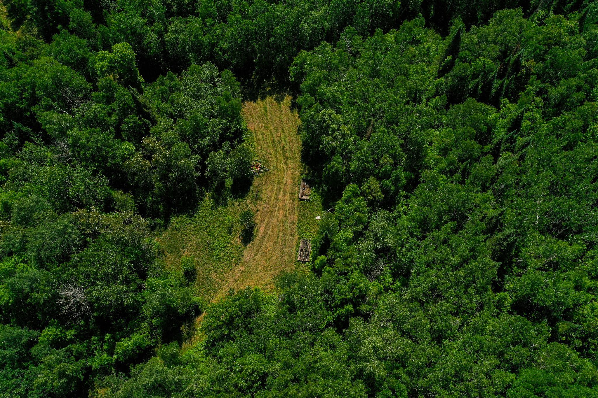 land for sale at TBD County Highway 47 in Osage, MN (photo 8 of 58)