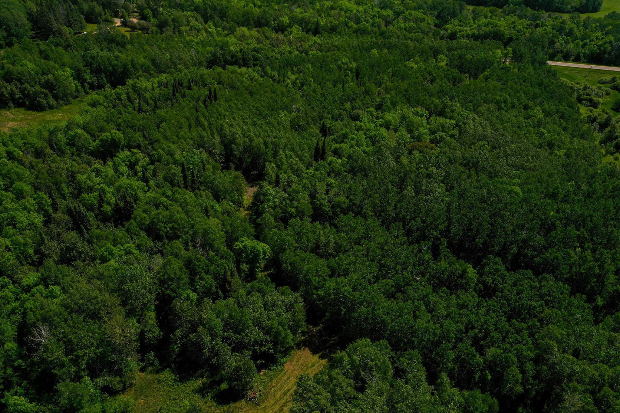 land for sale at TBD County Highway 47 in Osage, MN (photo 9 of 58)