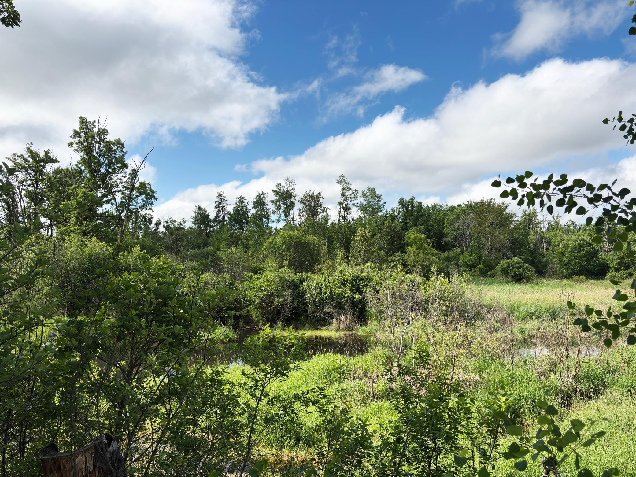 12207 110th Street, Menahga MN 56464 - Photo 46 of 60