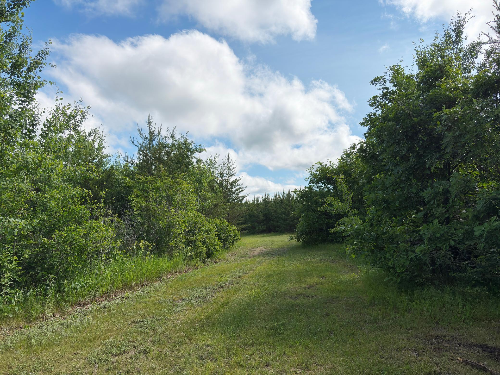 12207 110th Street, Menahga MN 56464 - Photo 47 of 60