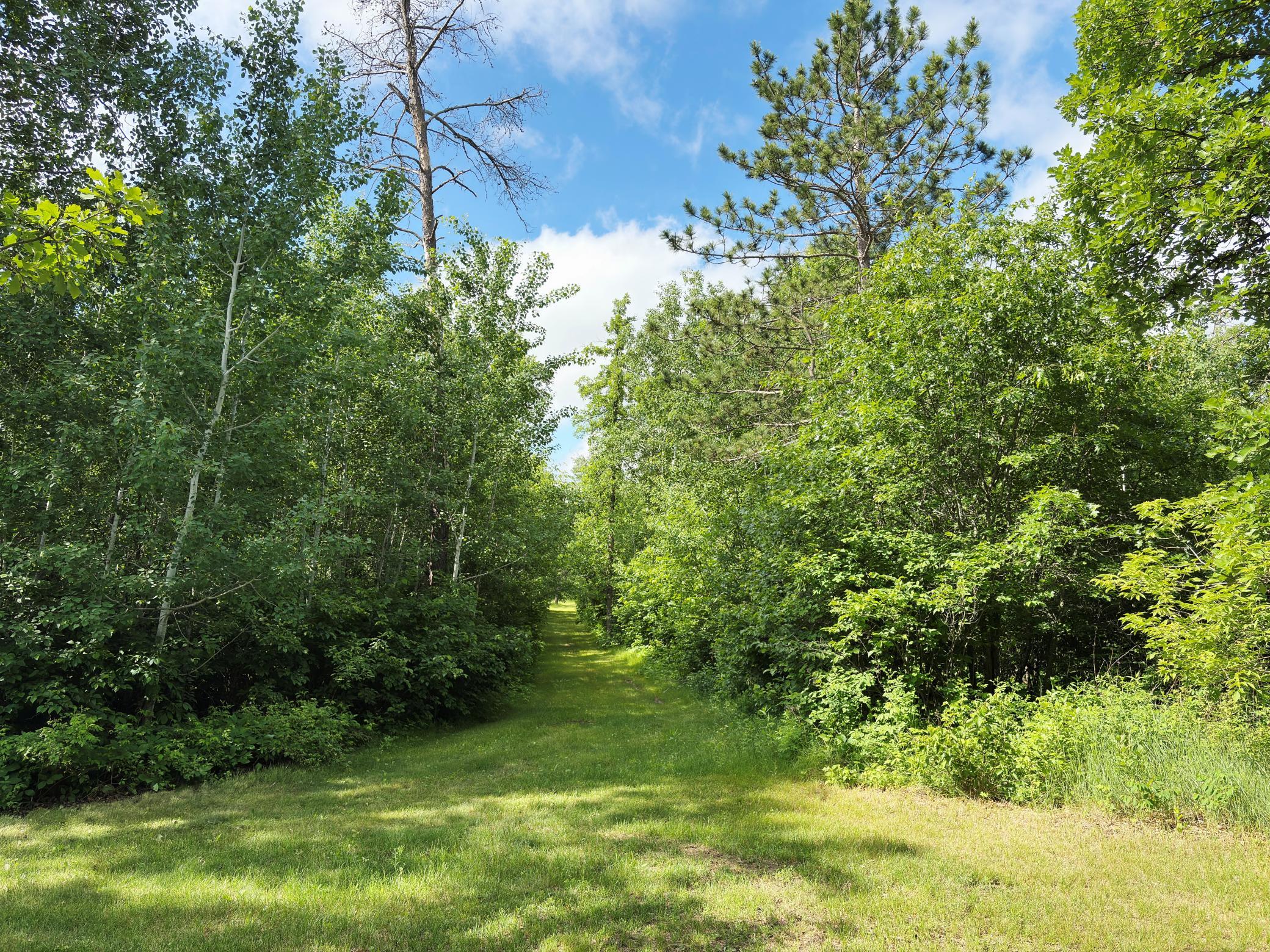 12207 110th Street, Menahga MN 56464 - Photo 48 of 60