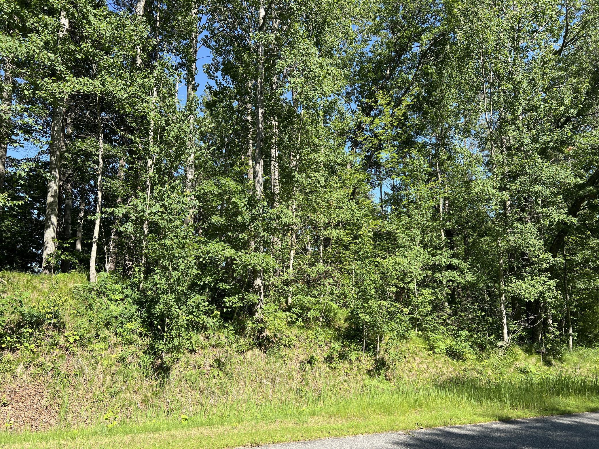 Lot 8 Terminal Road, Breezy Point MN 56472 - Photo 2 of 14