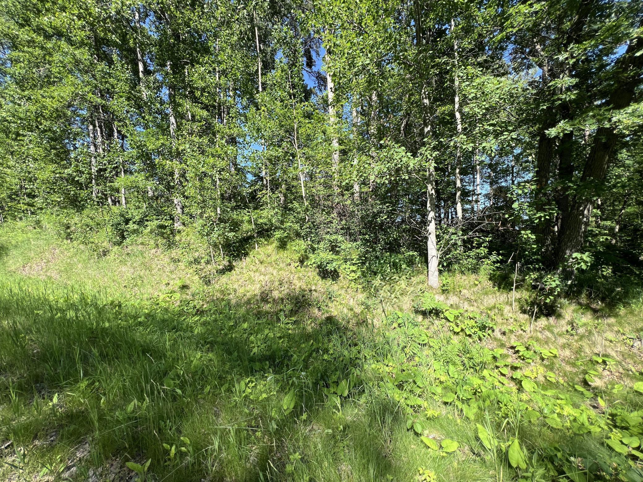Lot 8 Terminal Road, Breezy Point MN 56472 - Photo 13 of 14