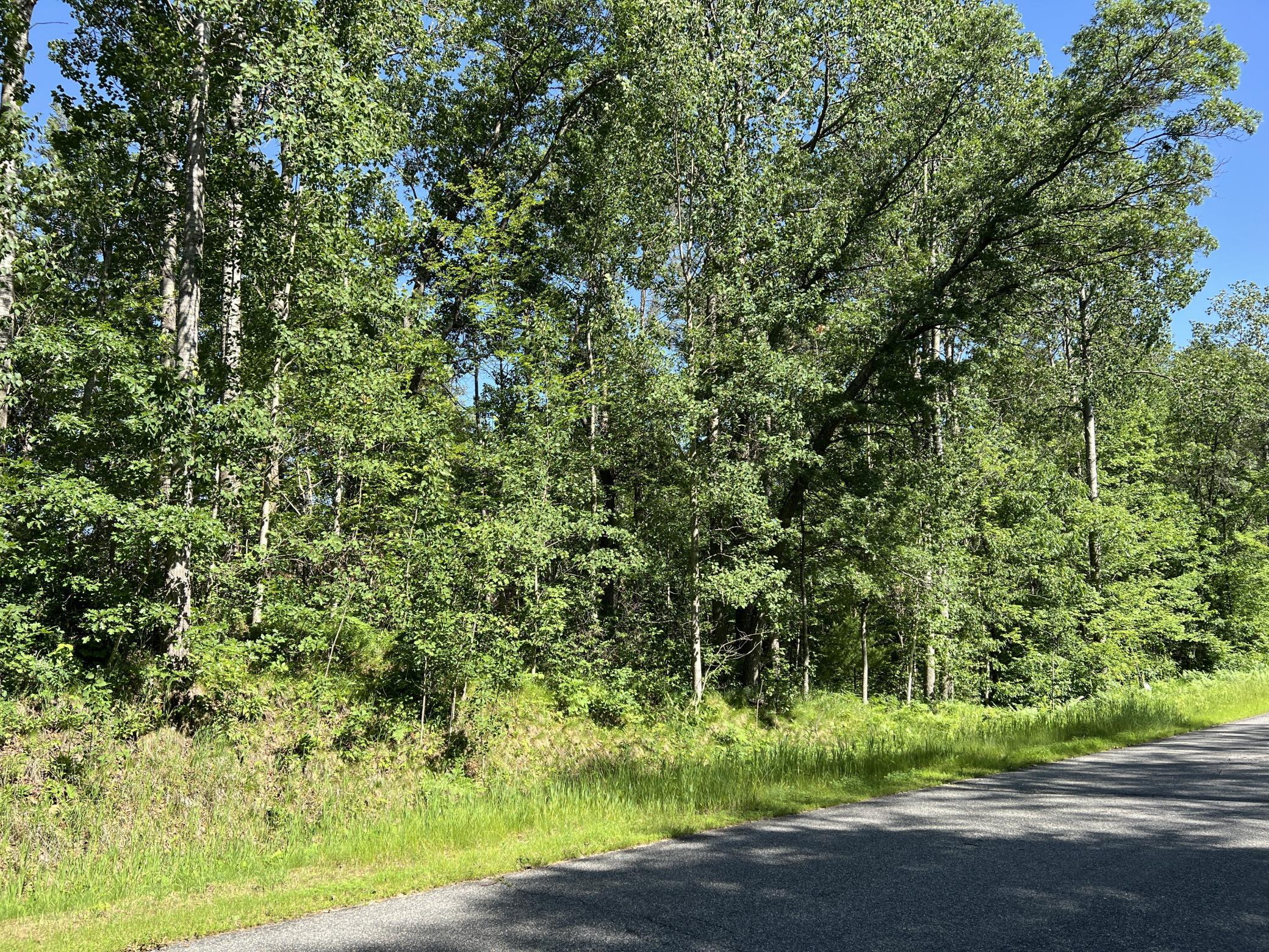 Lot 8 Terminal Road, Breezy Point MN 56472 - Photo 3 of 14