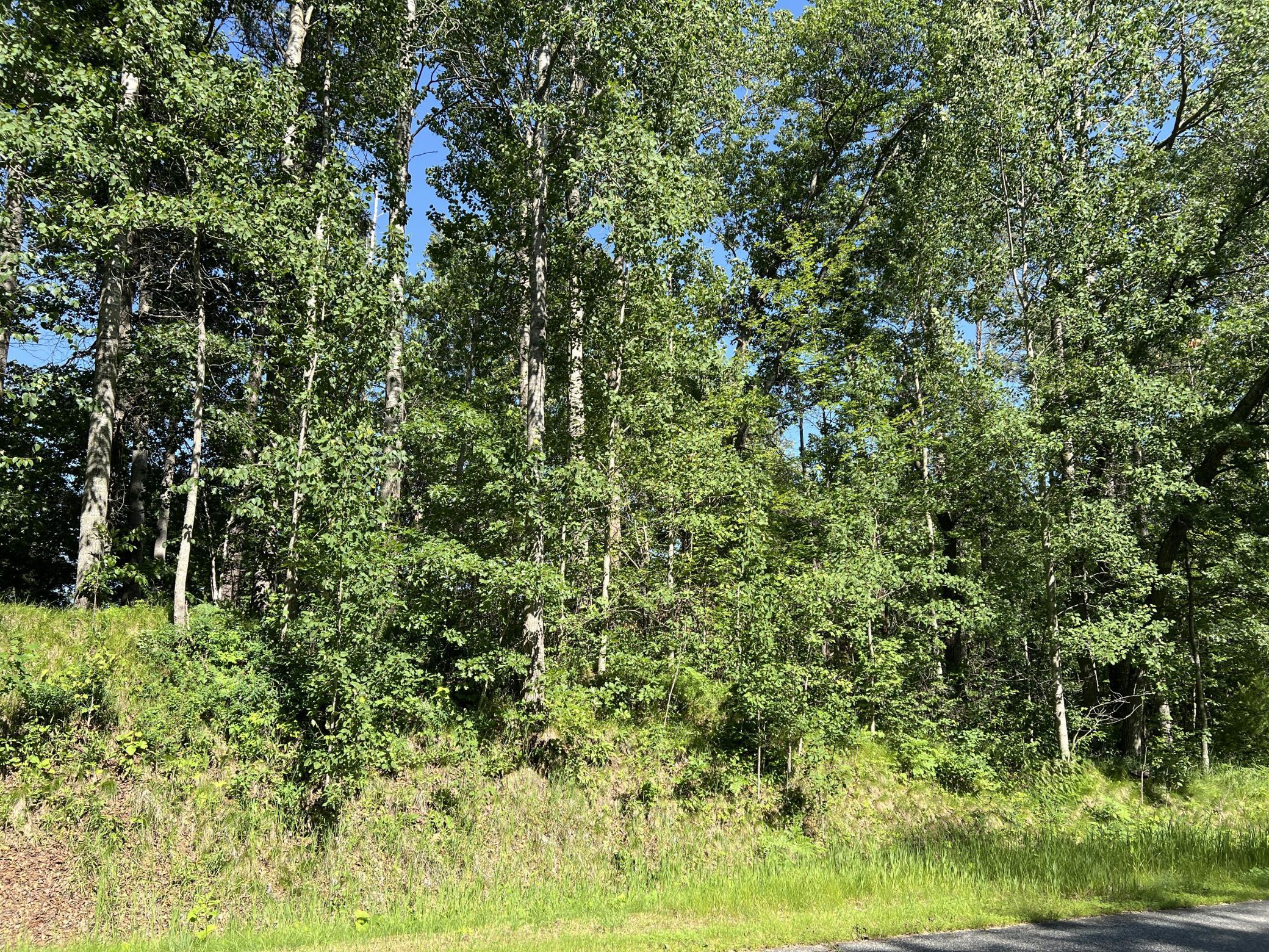 Lot 8 Terminal Road, Breezy Point MN 56472 - Photo 4 of 14