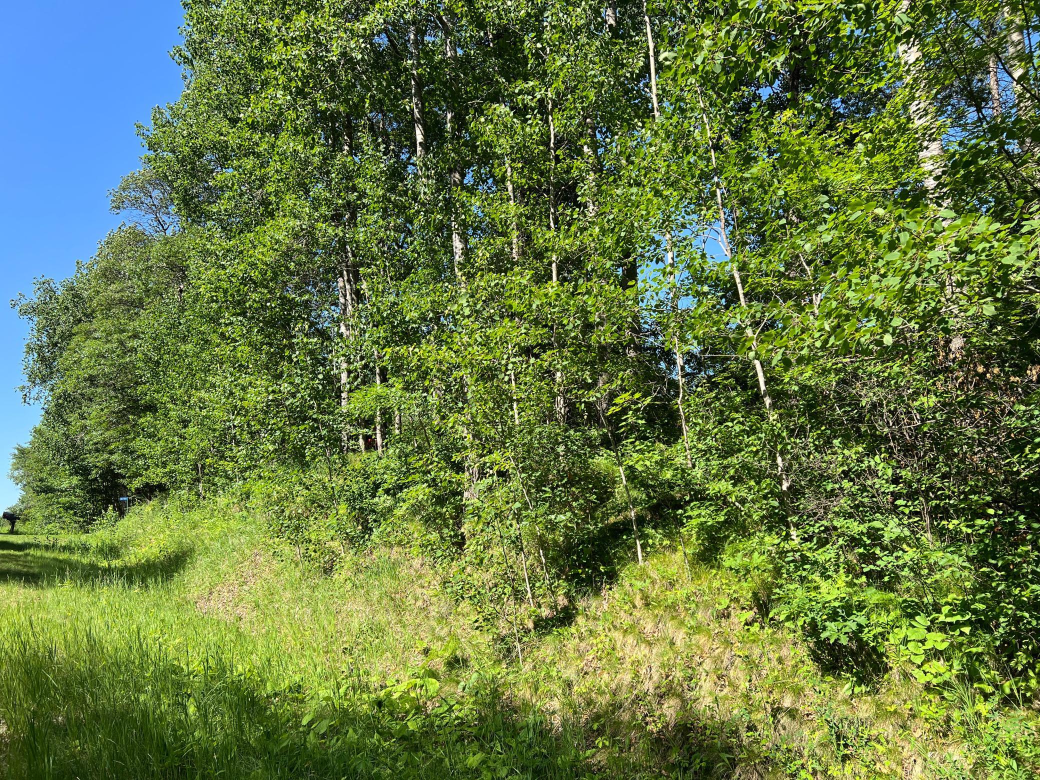 Lot 8 Terminal Road, Breezy Point MN 56472 - Photo 6 of 14