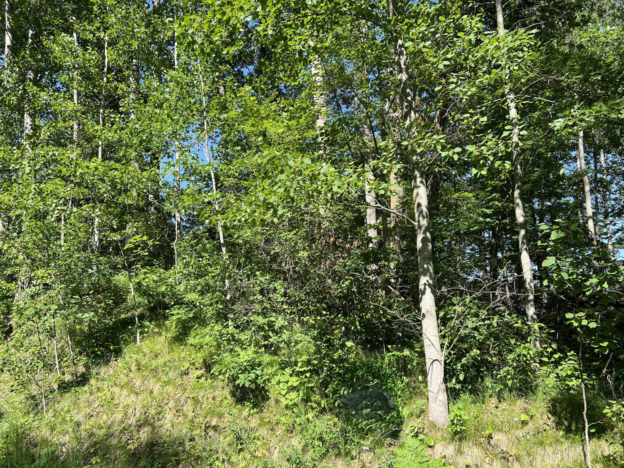 Lot 8 Terminal Road, Breezy Point MN 56472 - Photo 7 of 14