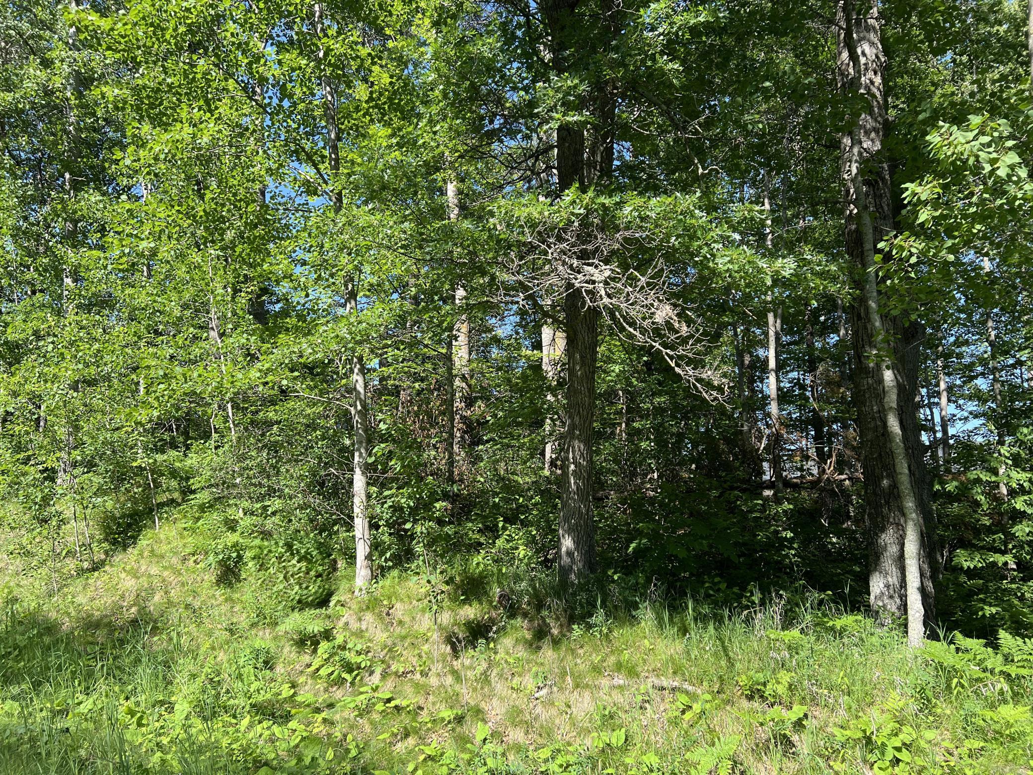 Lot 8 Terminal Road, Breezy Point MN 56472 - Photo 8 of 14