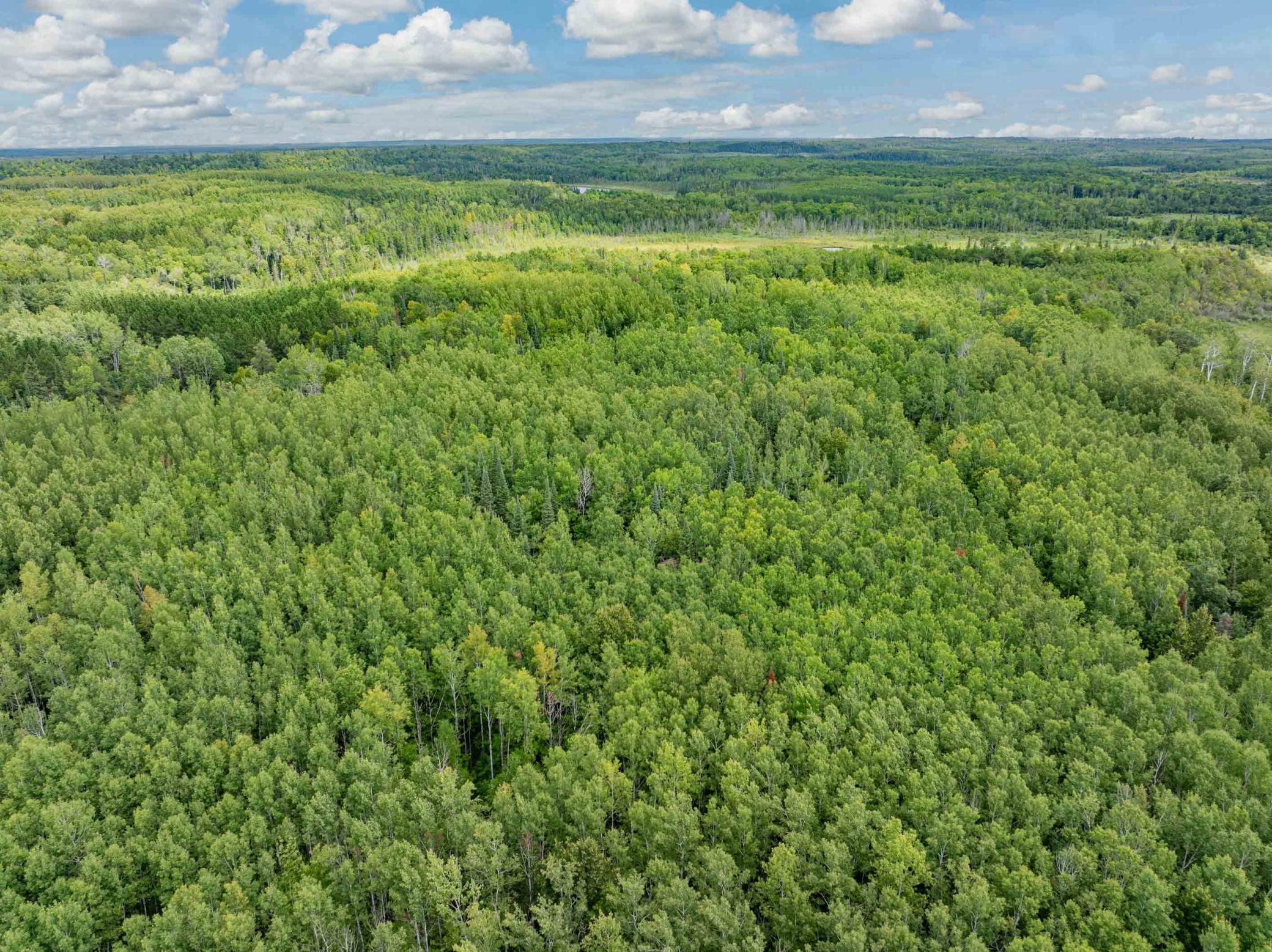 2017 single family home for sale at 67488 Busties Lake Access in Effie, MN — 2 bed, 1 bath (photo 31 of 47)