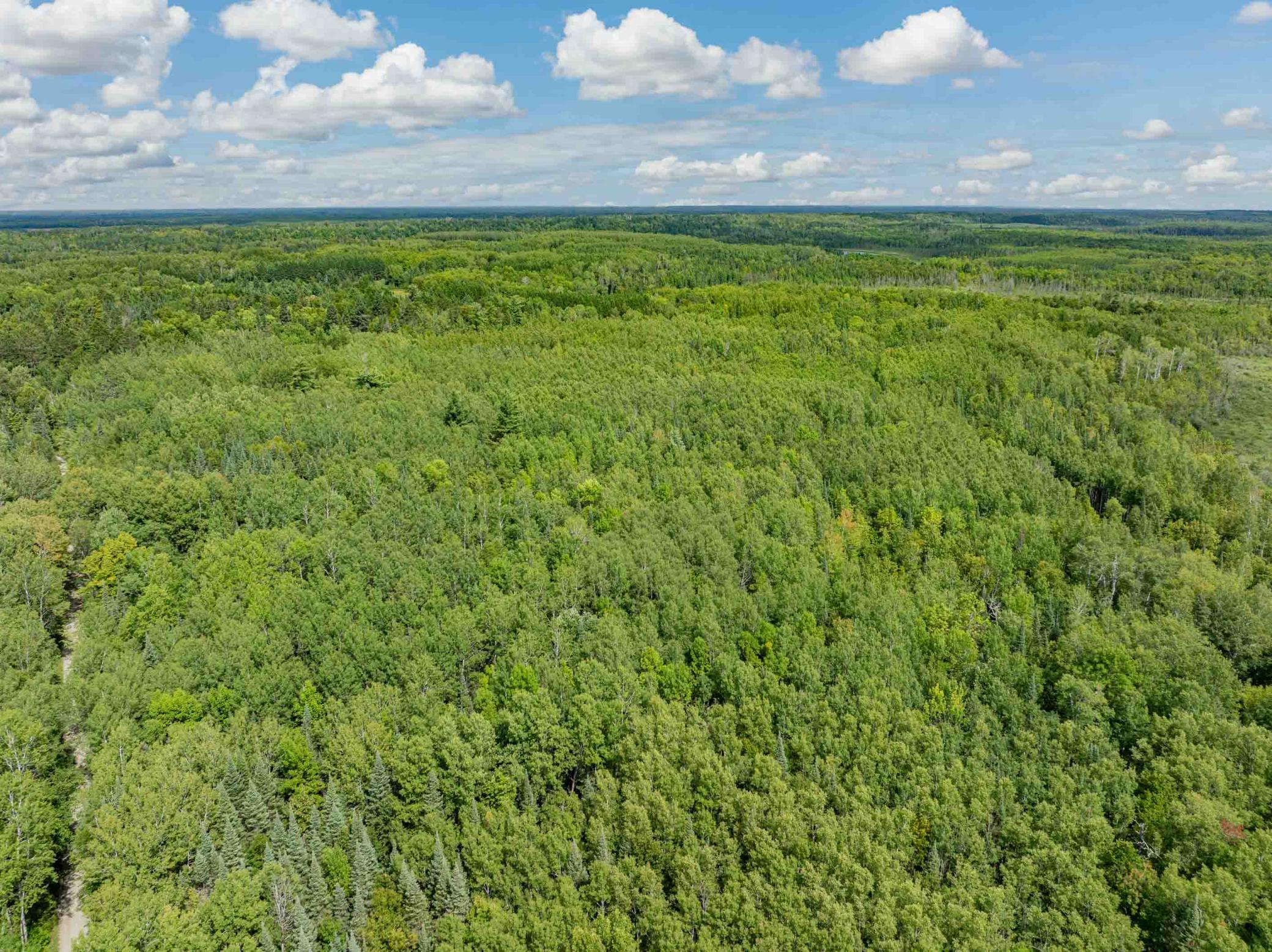 2017 single family home for sale at 67488 Busties Lake Access in Effie, MN — 2 bed, 1 bath (photo 33 of 47)