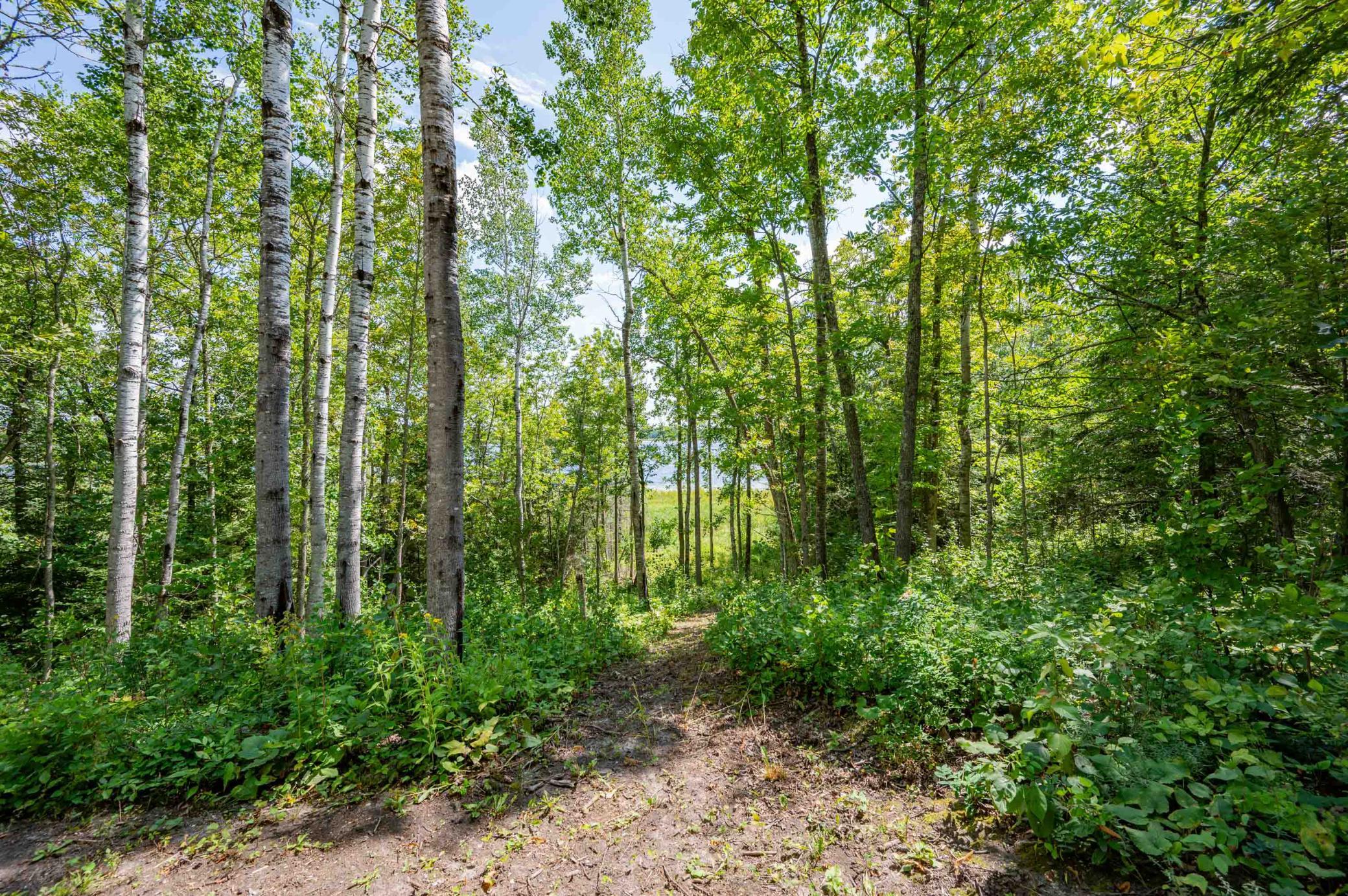 2017 single family home for sale at 67488 Busties Lake Access in Effie, MN — 2 bed, 1 bath (photo 41 of 47)
