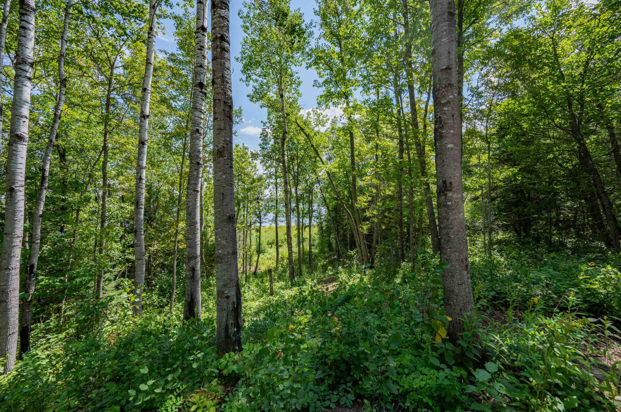 2017 single family home for sale at 67488 Busties Lake Access in Effie, MN — 2 bed, 1 bath (photo 42 of 47)