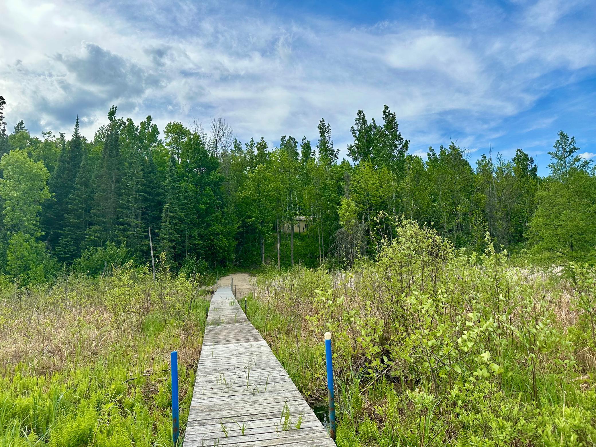 2017 single family home for sale at 67488 Busties Lake Access in Effie, MN — 2 bed, 1 bath (photo 46 of 47)