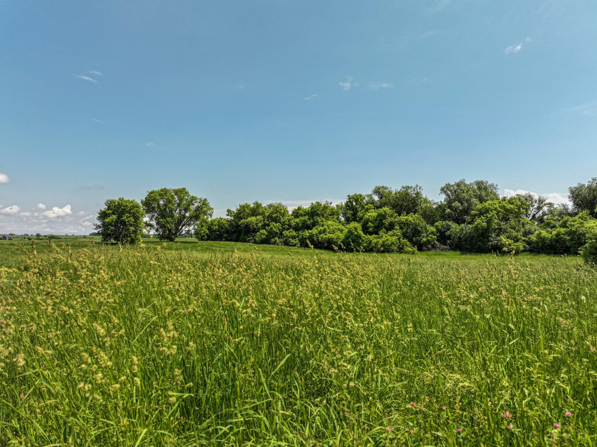 2007 single family home for sale at 23569 County Road 99 SW in Kensington, MN — 4 bed, 3 bath (photo 50 of 63)