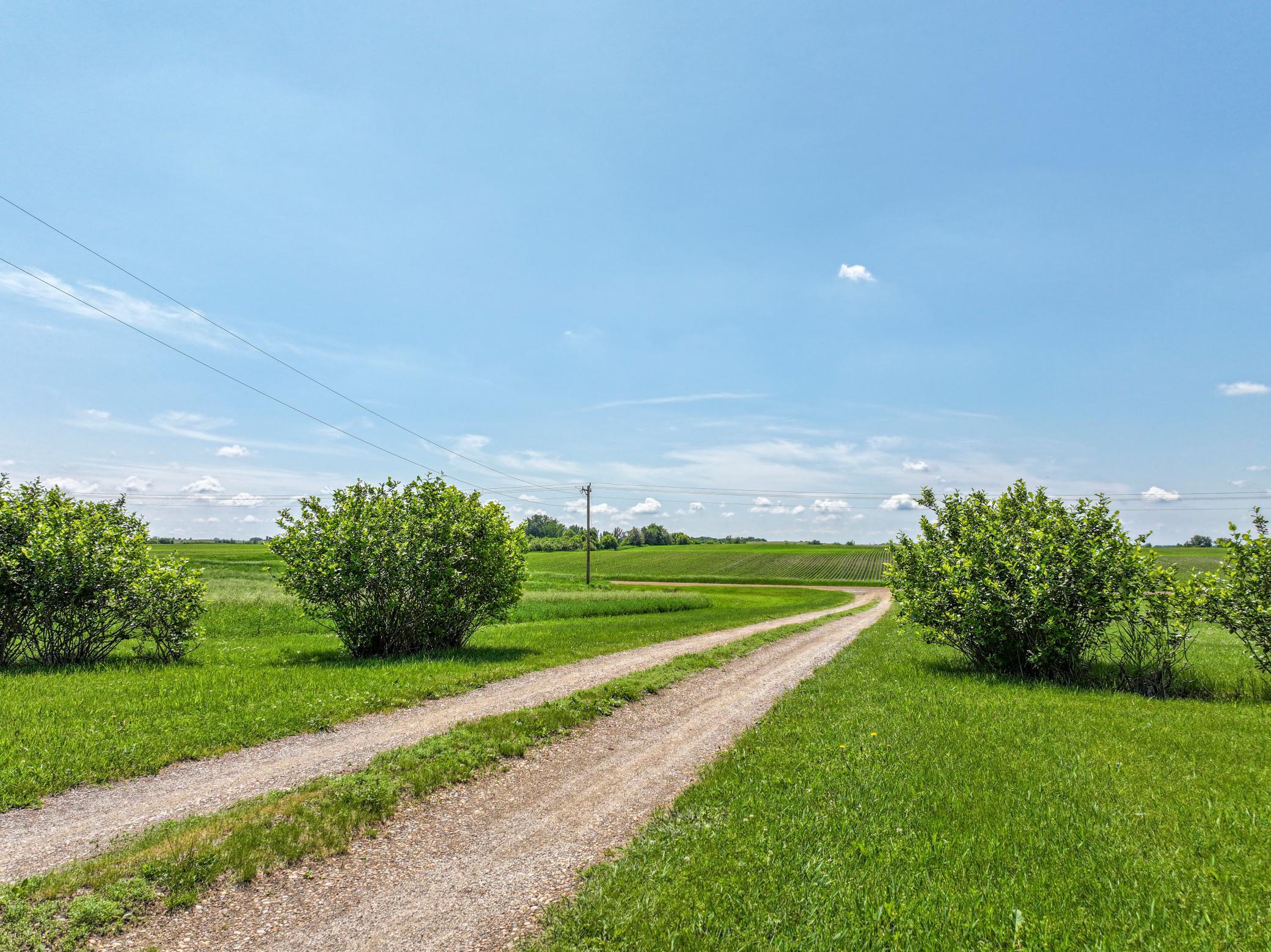 2007 single family home for sale at 23569 County Road 99 SW in Kensington, MN — 4 bed, 3 bath (photo 54 of 63)