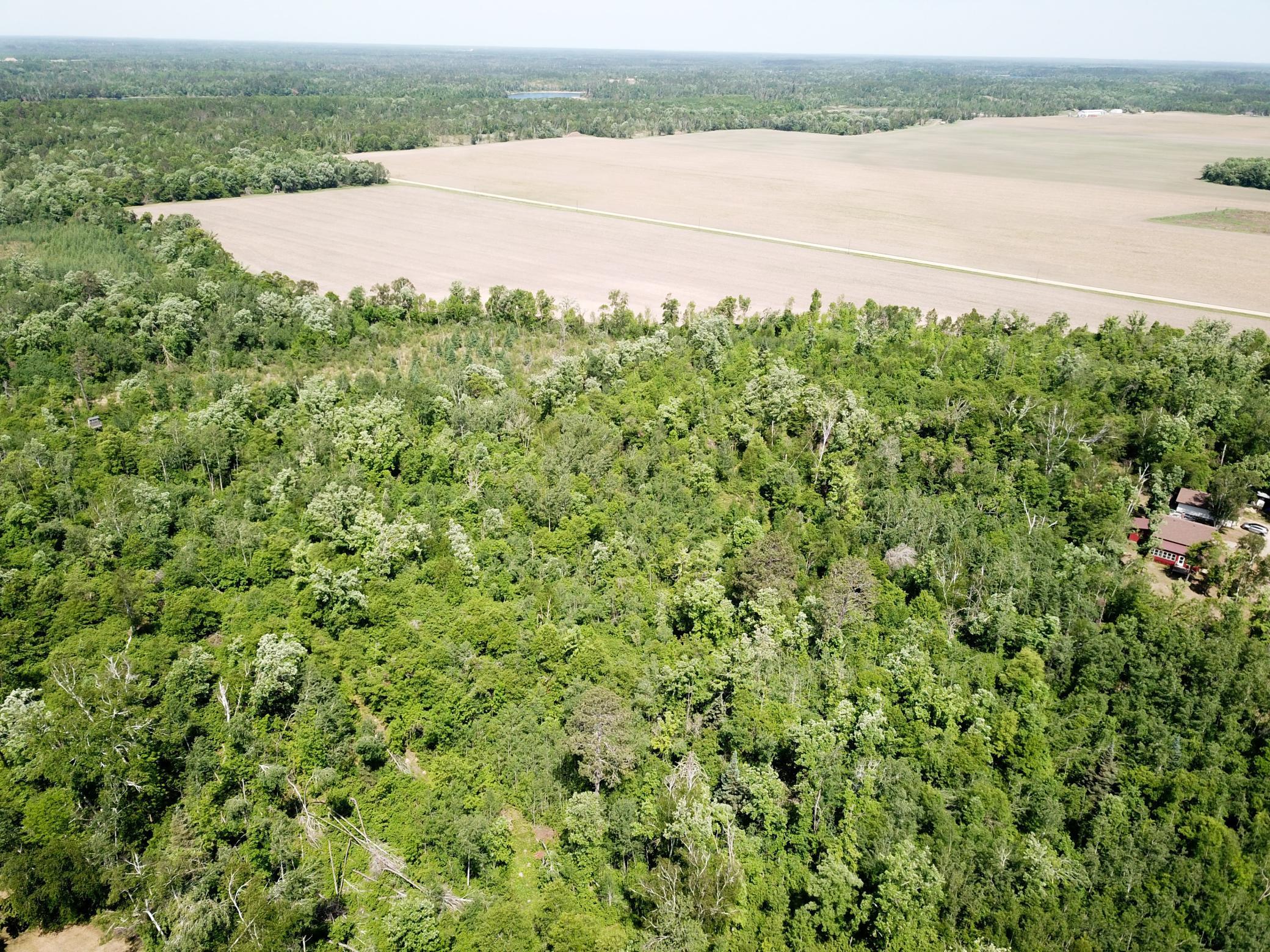 TBD Stone Lake Road SW, Bemidji MN 56601 - Photo 12 of 29