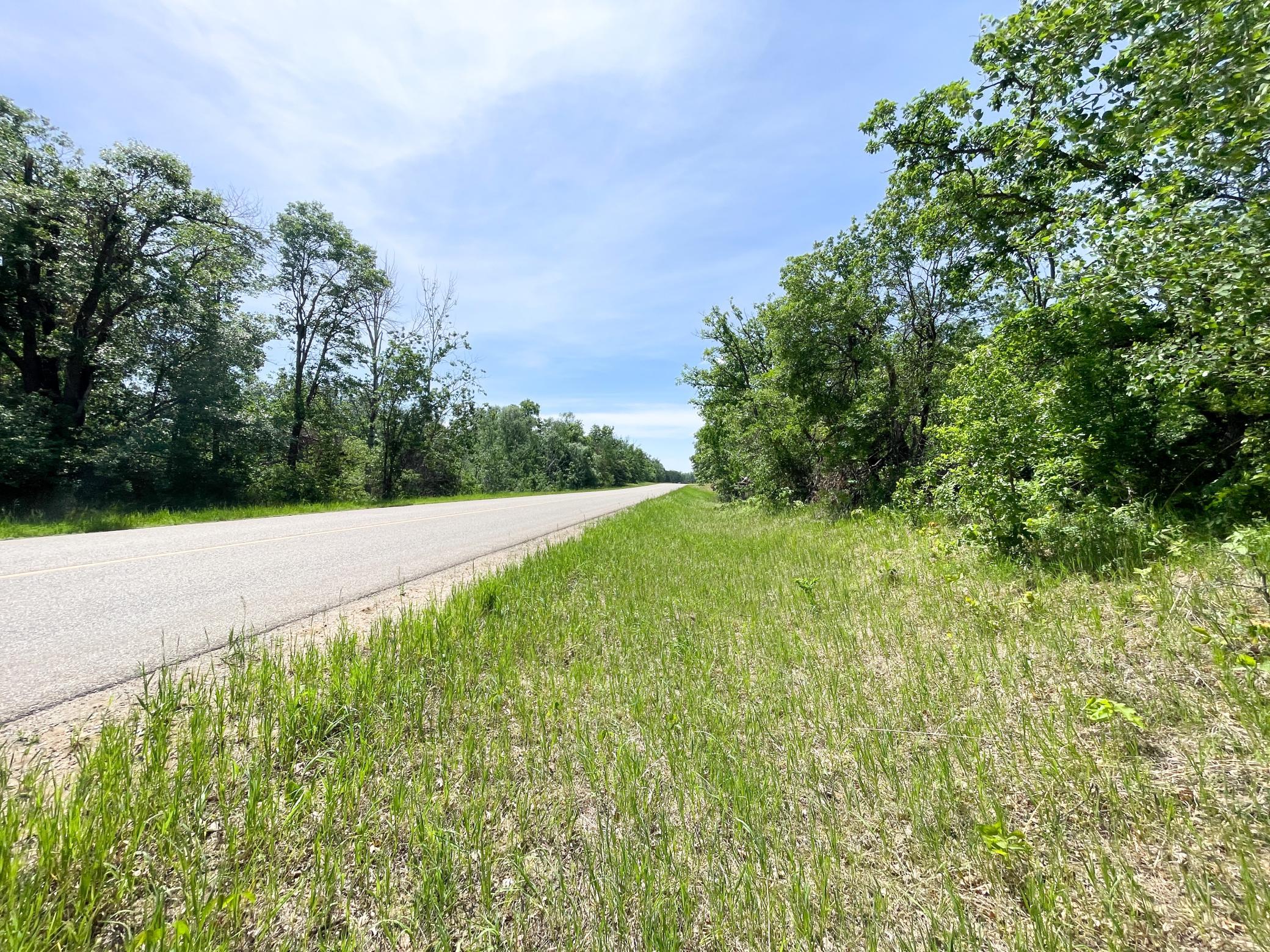 TBD Stone Lake Road SW, Bemidji MN 56601 - Photo 15 of 29