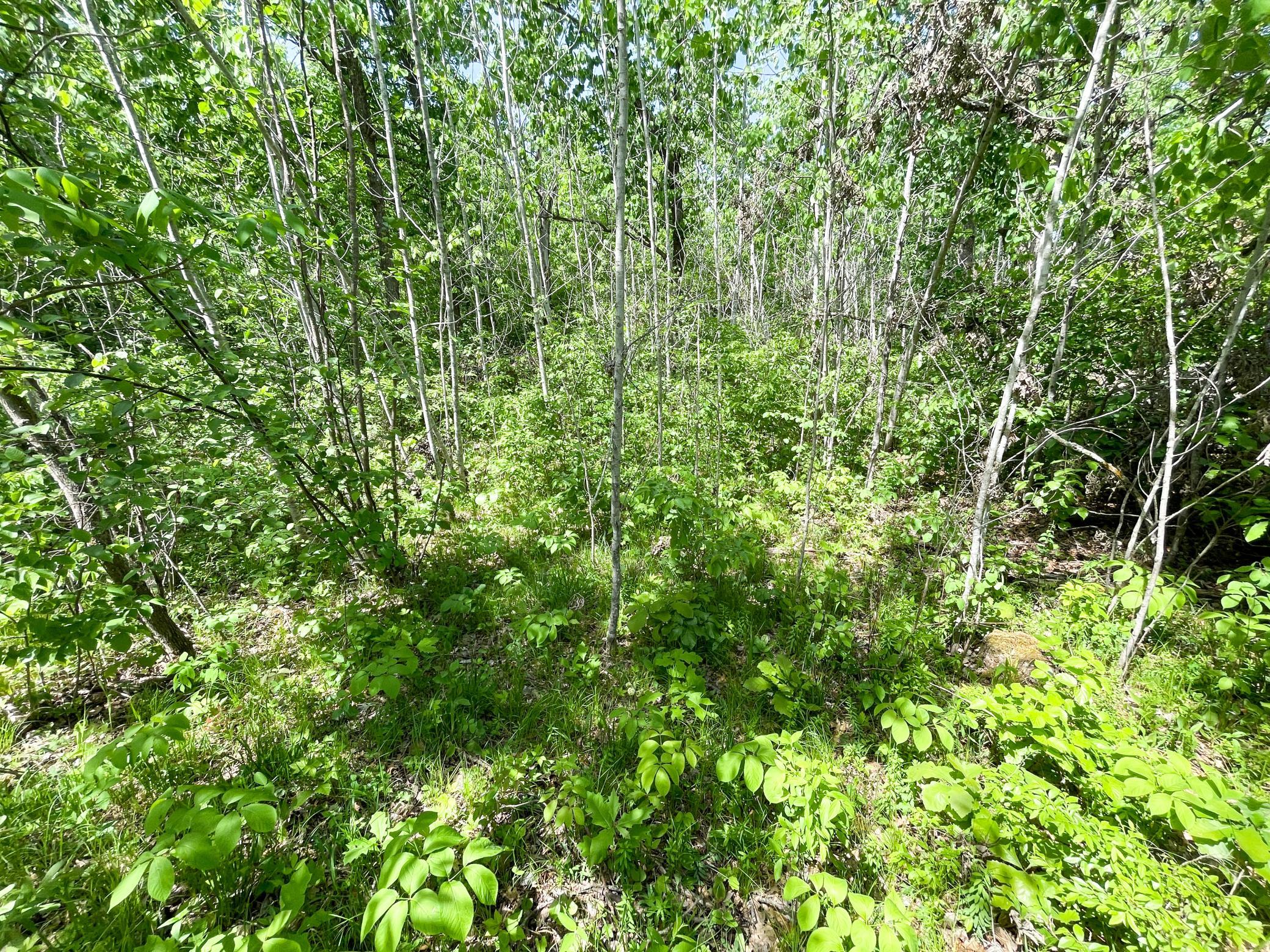TBD Stone Lake Road SW, Bemidji MN 56601 - Photo 18 of 29