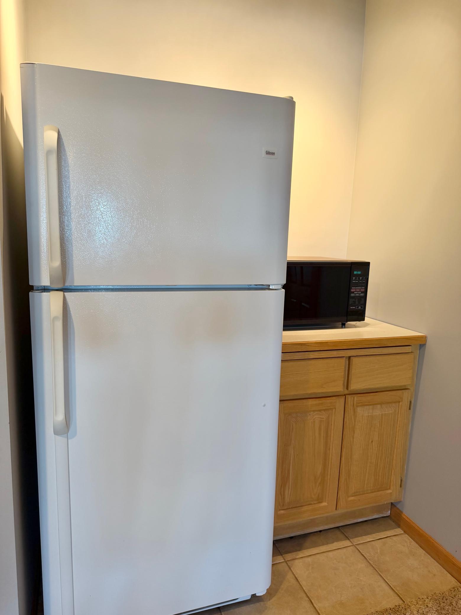 101 Walker Bay Boulevard, Unit A-1, Walker MN 56484 - Photo 68 of 107