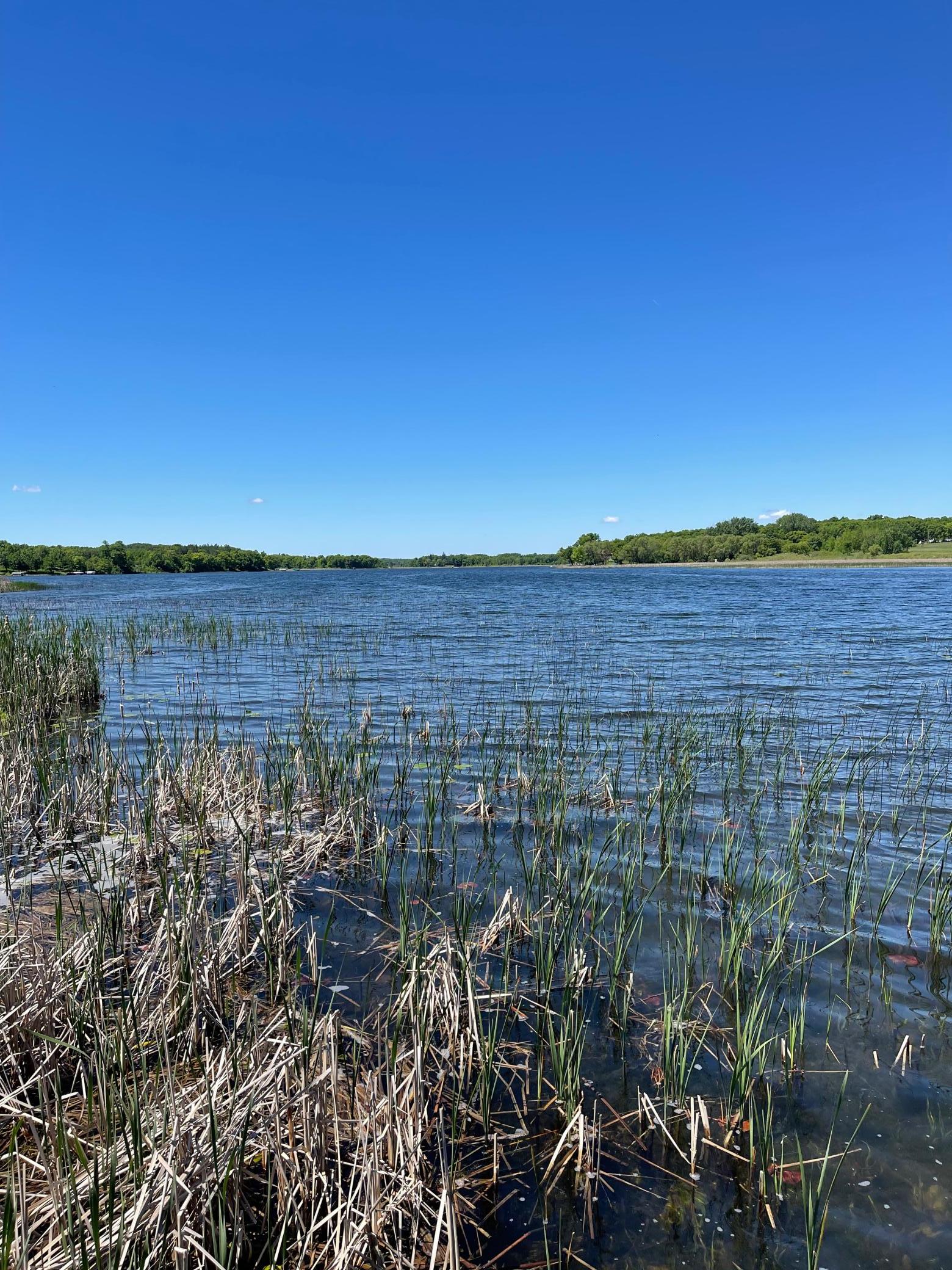38481 County Highway 41, Dent MN 56528 - Photo 56 of 77