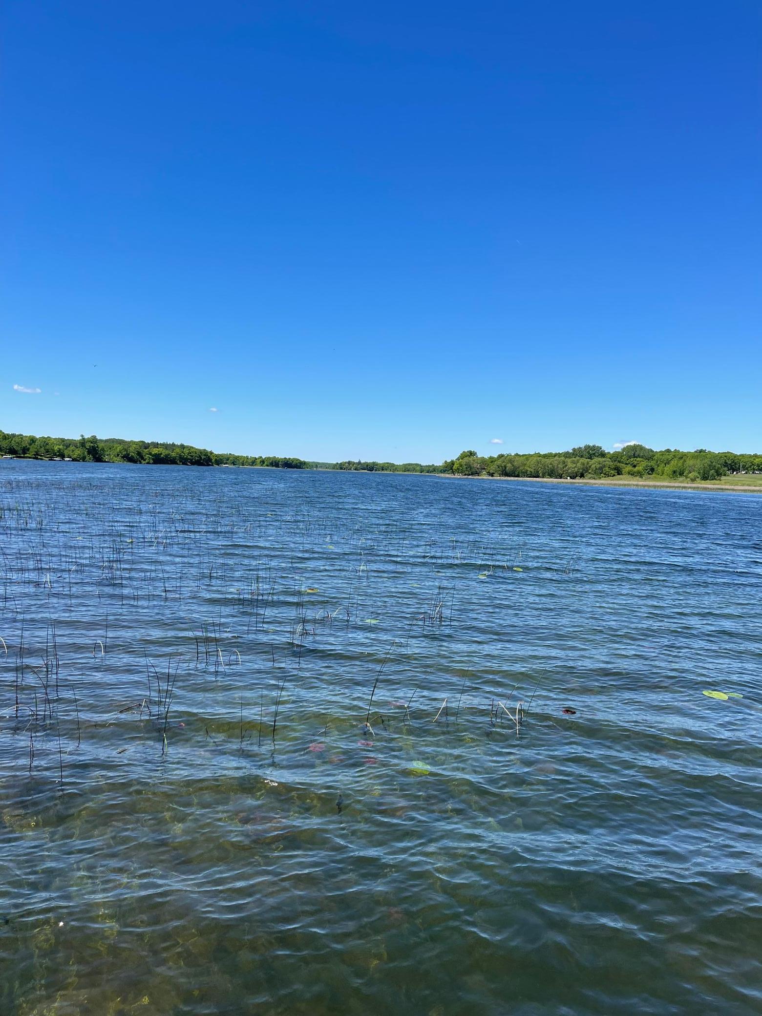 38481 County Highway 41, Dent MN 56528 - Photo 59 of 77