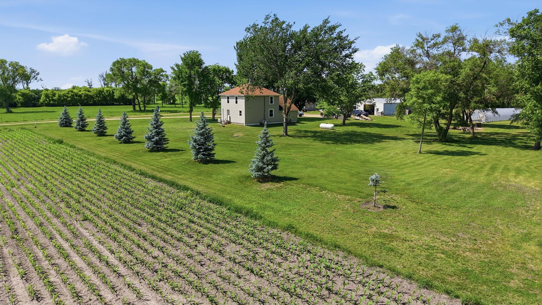 3127 150th Street N, Glyndon MN 56547 - Photo 32 of 36