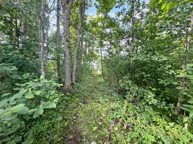 2024 single family home for sale at 15215 Werner Road NW in Bemidji, MN — 3 bed, 3 bath (photo 20 of 27)