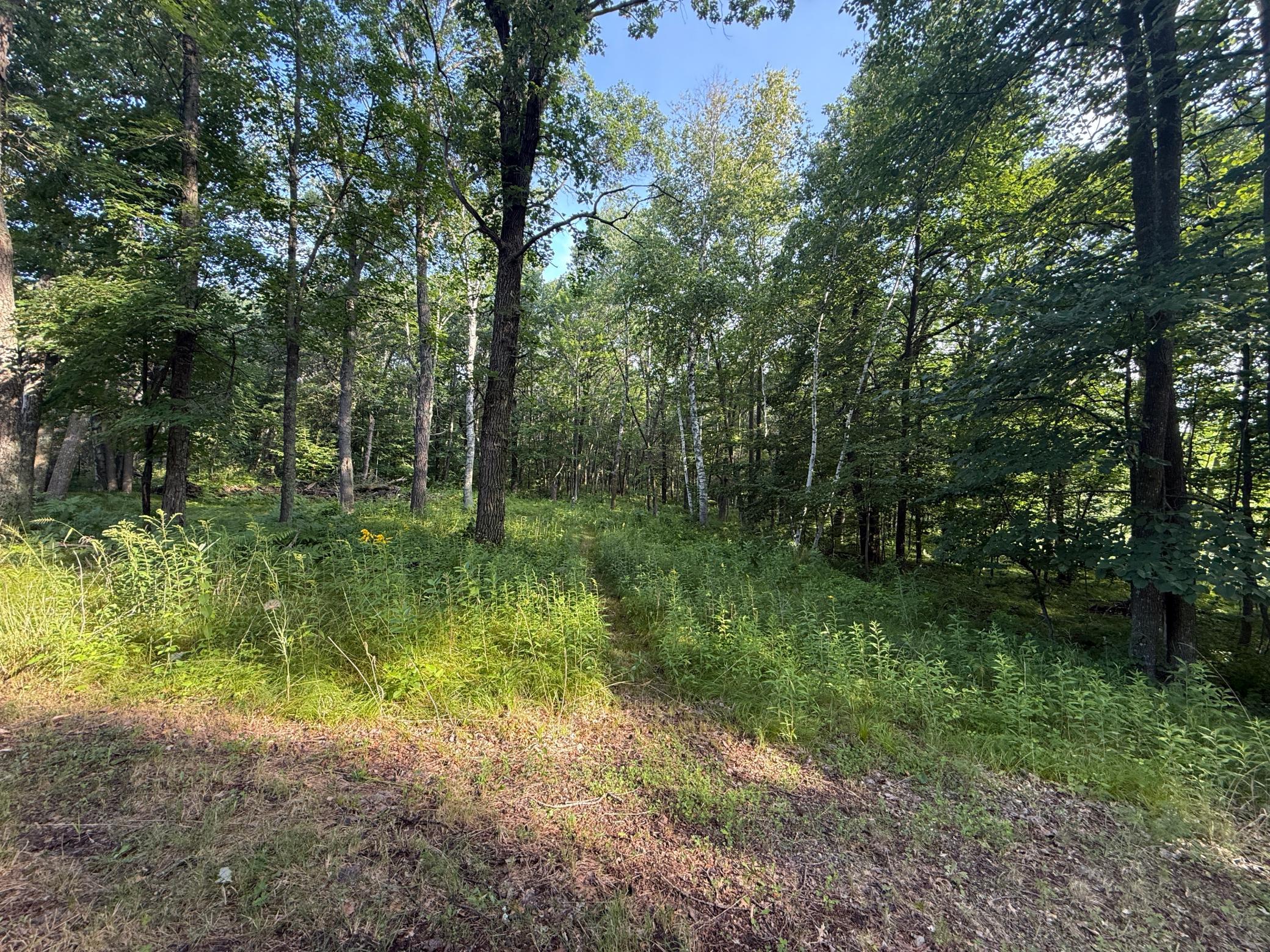 TBD CR-109, Merrifield MN 56465 - Photo 6 of 31