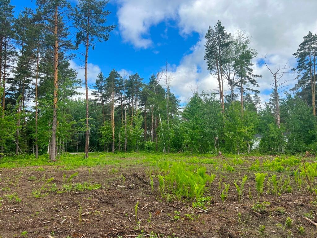 Lot 9 Blk 1 Isleview Road, Grand Rapids MN 55744 - Photo 12 of 14