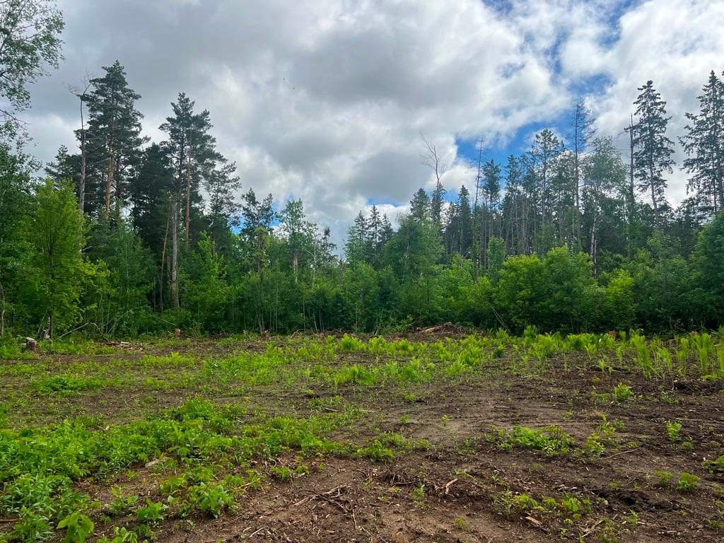 Lot 9 Blk 1 Isleview Road, Grand Rapids MN 55744 - Photo 13 of 14