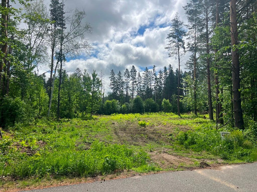 Lot 9 Blk 1 Isleview Road, Grand Rapids MN 55744 - Photo 9 of 14
