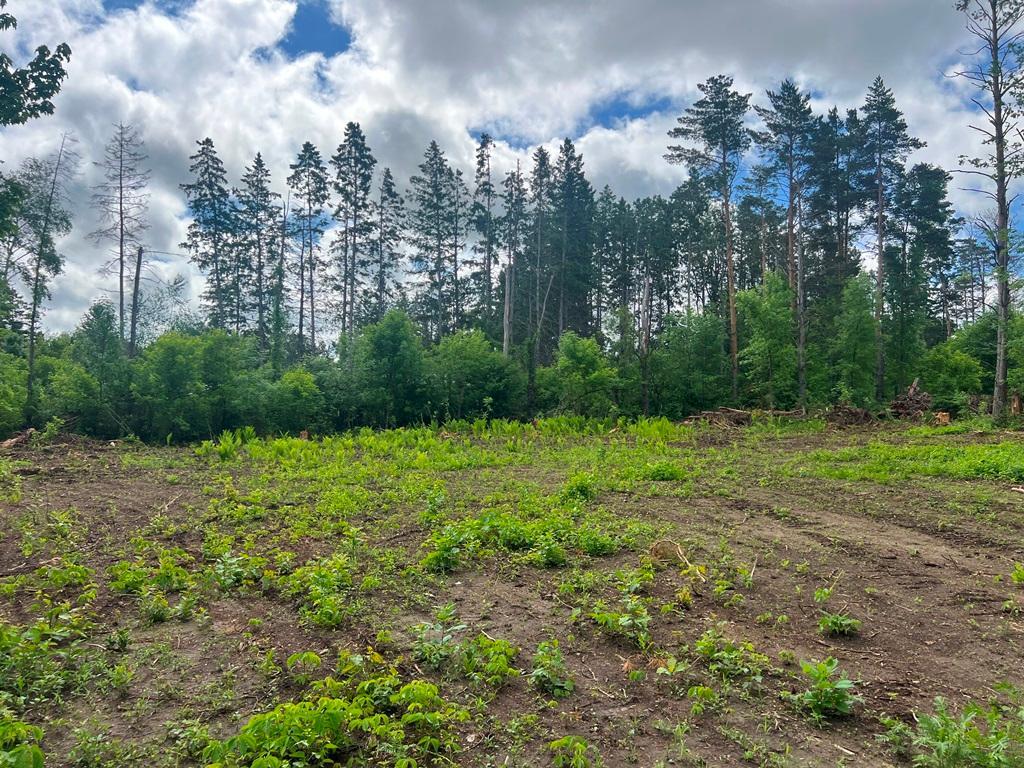 Lot 9 Blk 1 Isleview Road, Grand Rapids MN 55744 - Photo 10 of 14